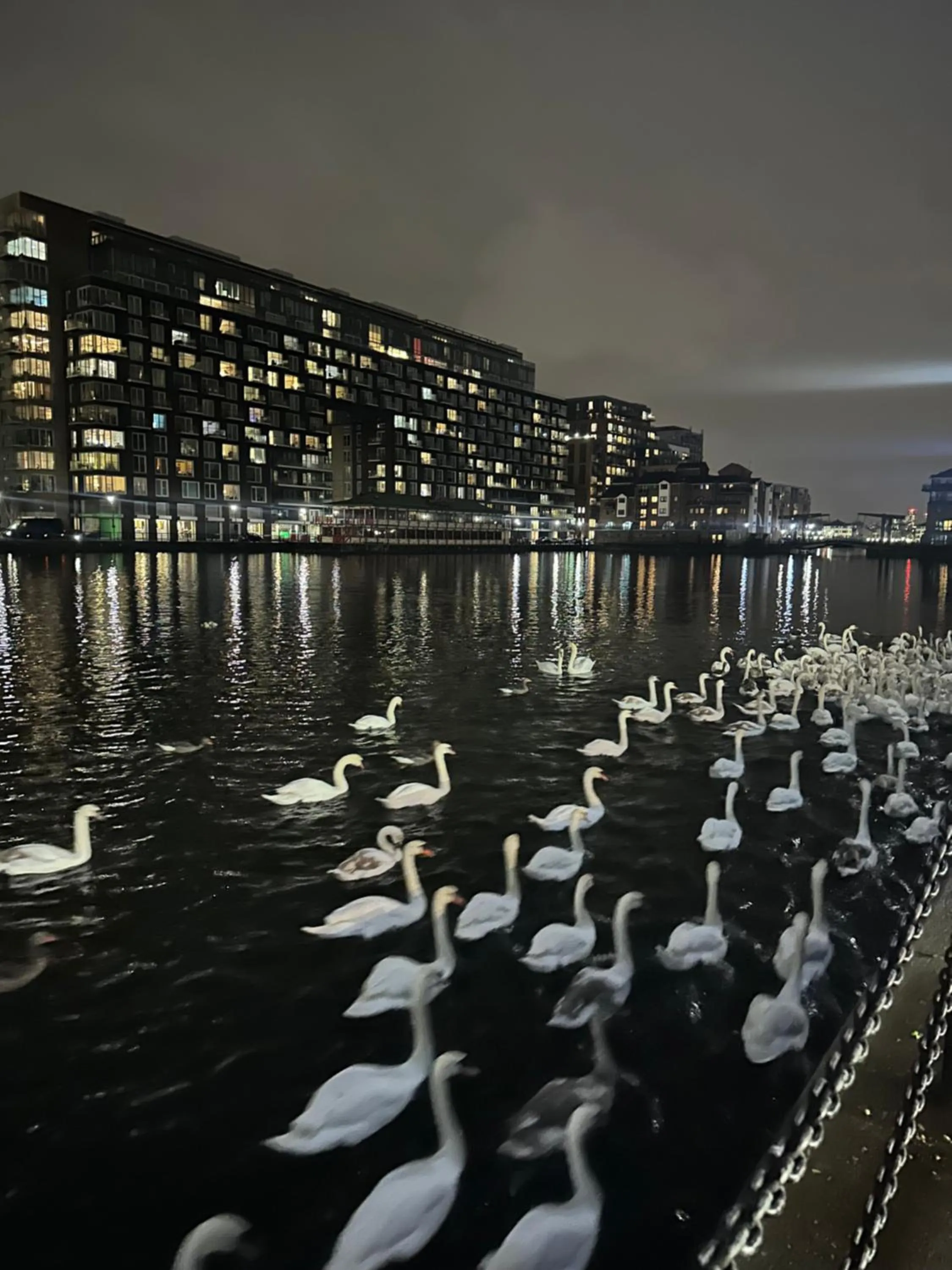 Night in Canary Wharf - Luxury Apartments