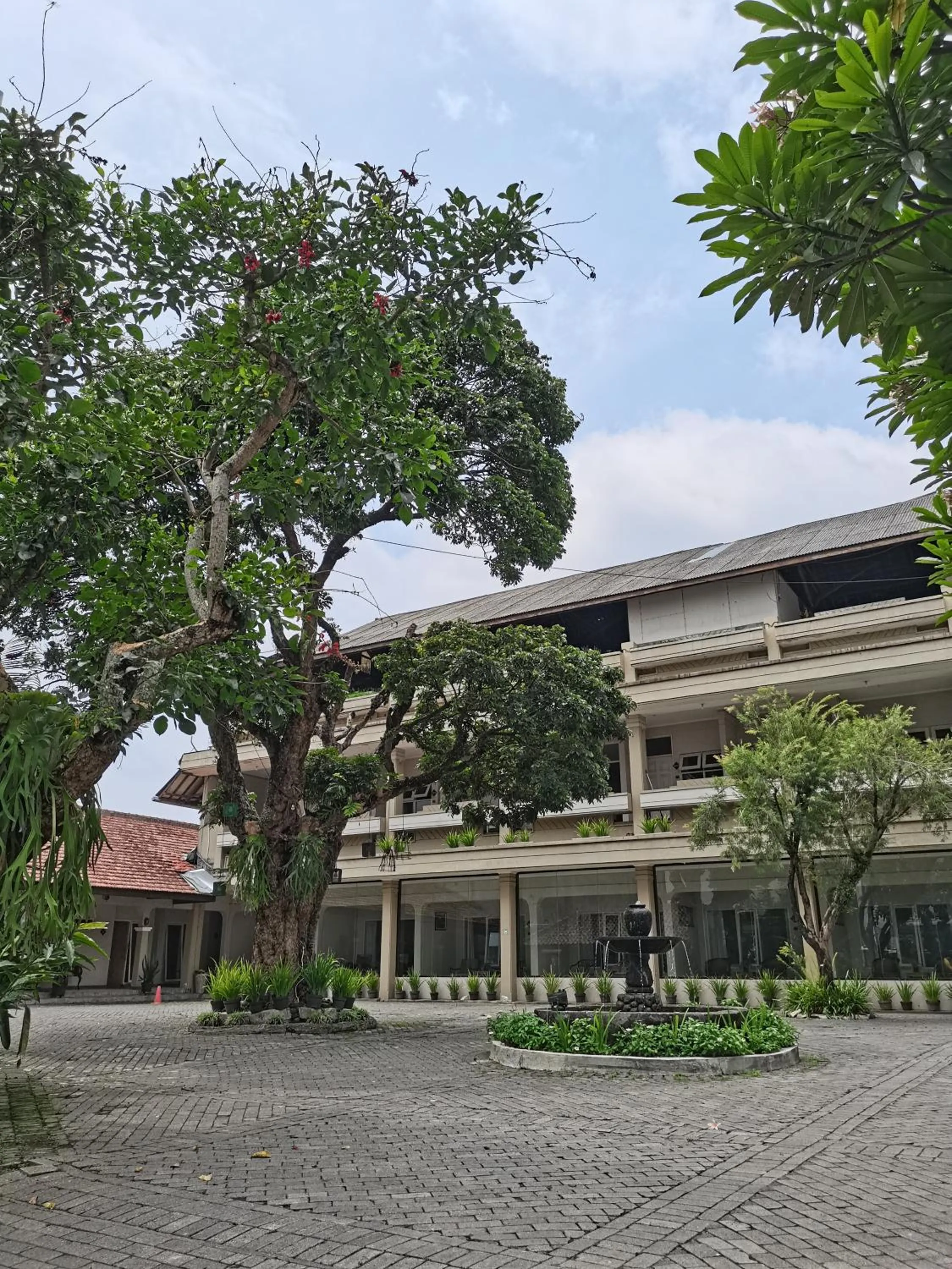 Garden in Hotel Catur Putra