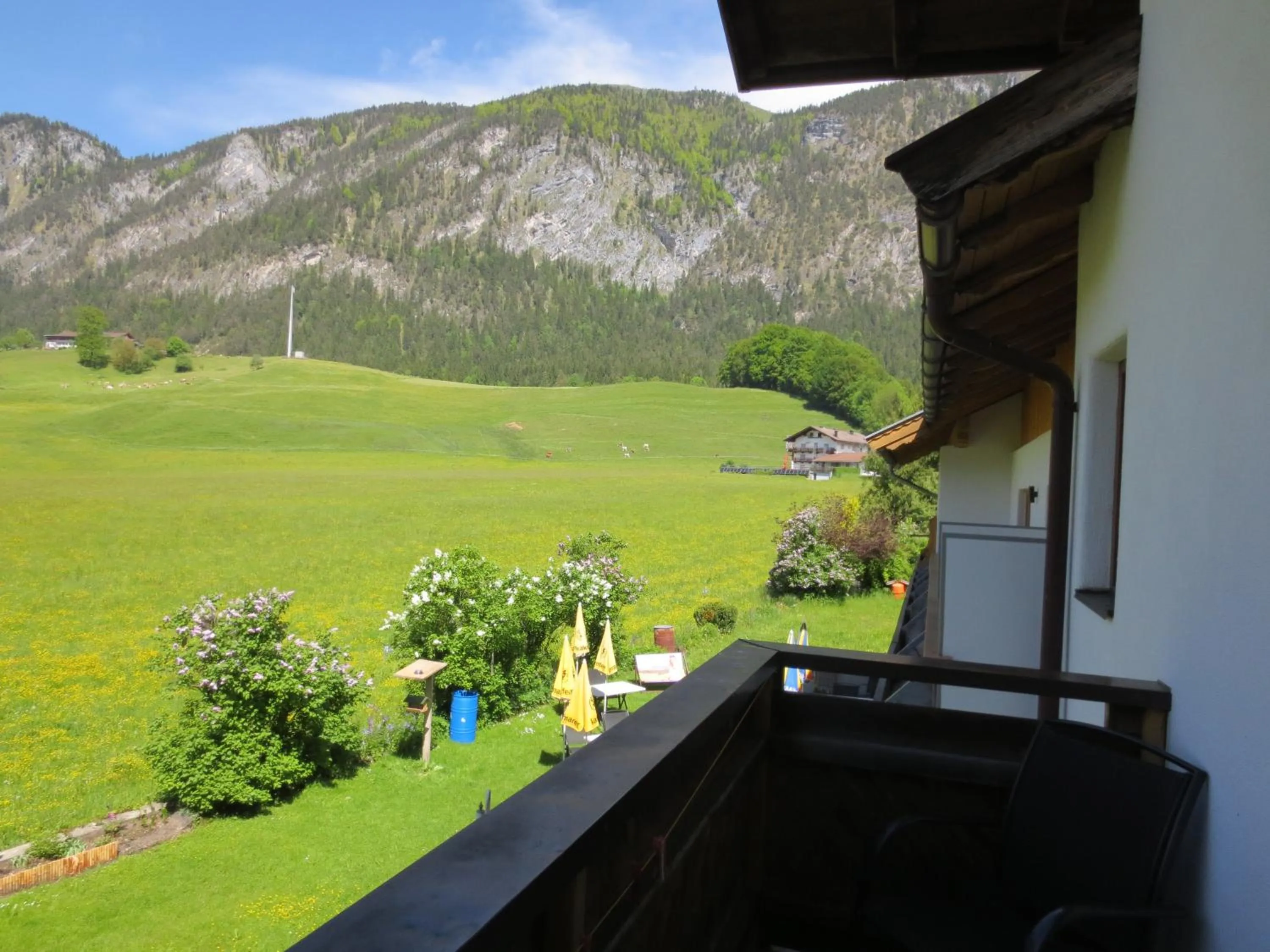 Balcony/Terrace in Hotel Kraftquelle Schlossblick