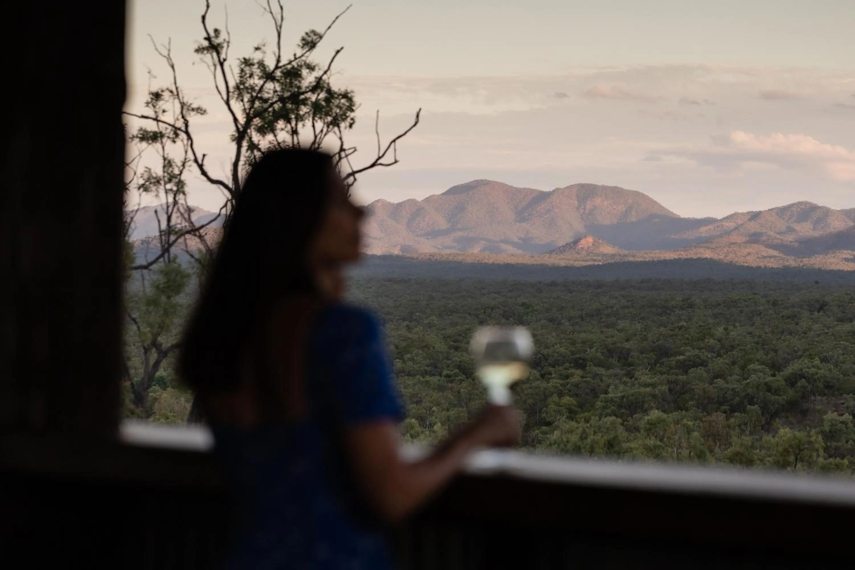 Food and drinks in Mt Mulligan Lodge