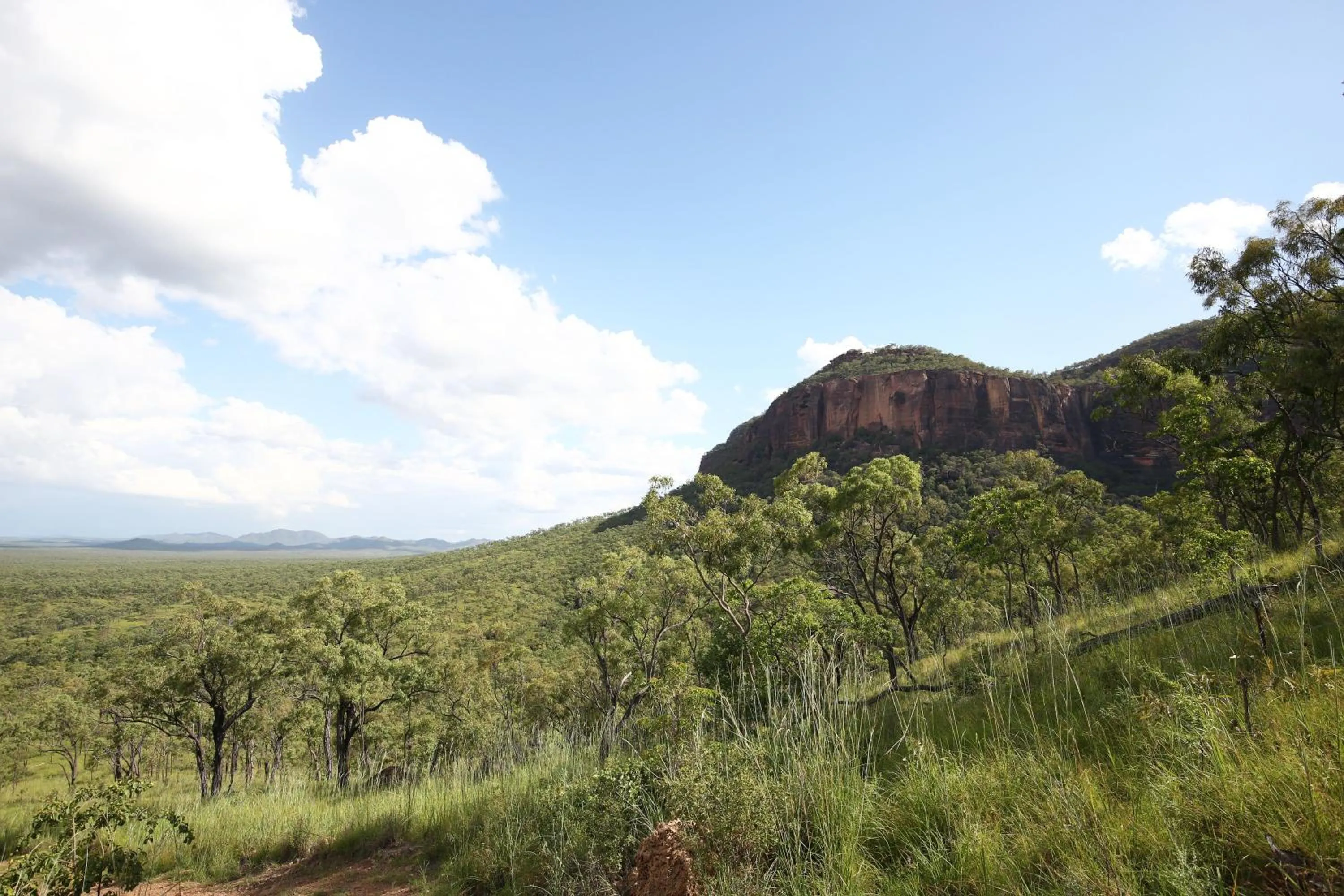 Natural landscape in Mt Mulligan Lodge
