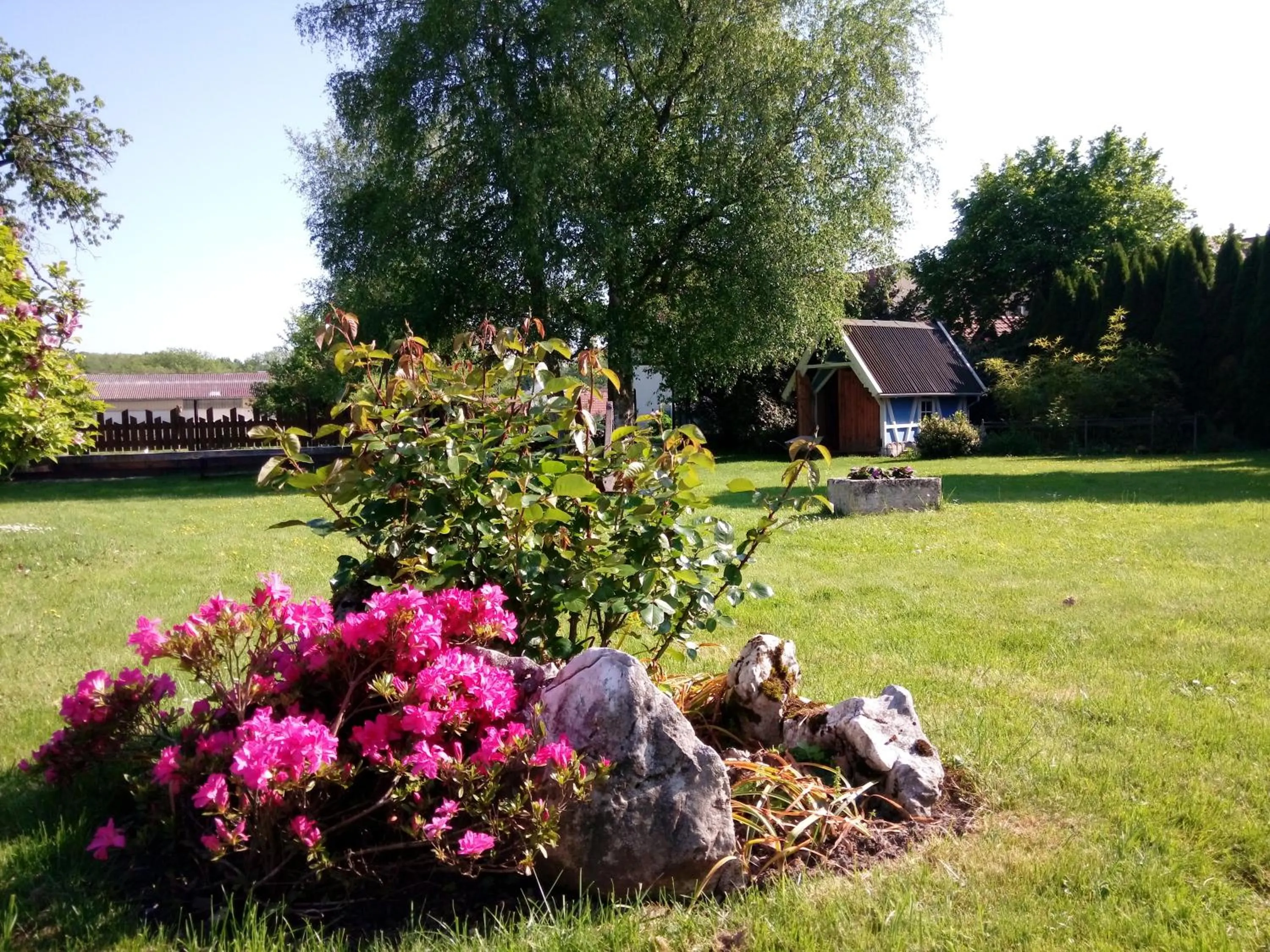 Garden in Maison Curiale
