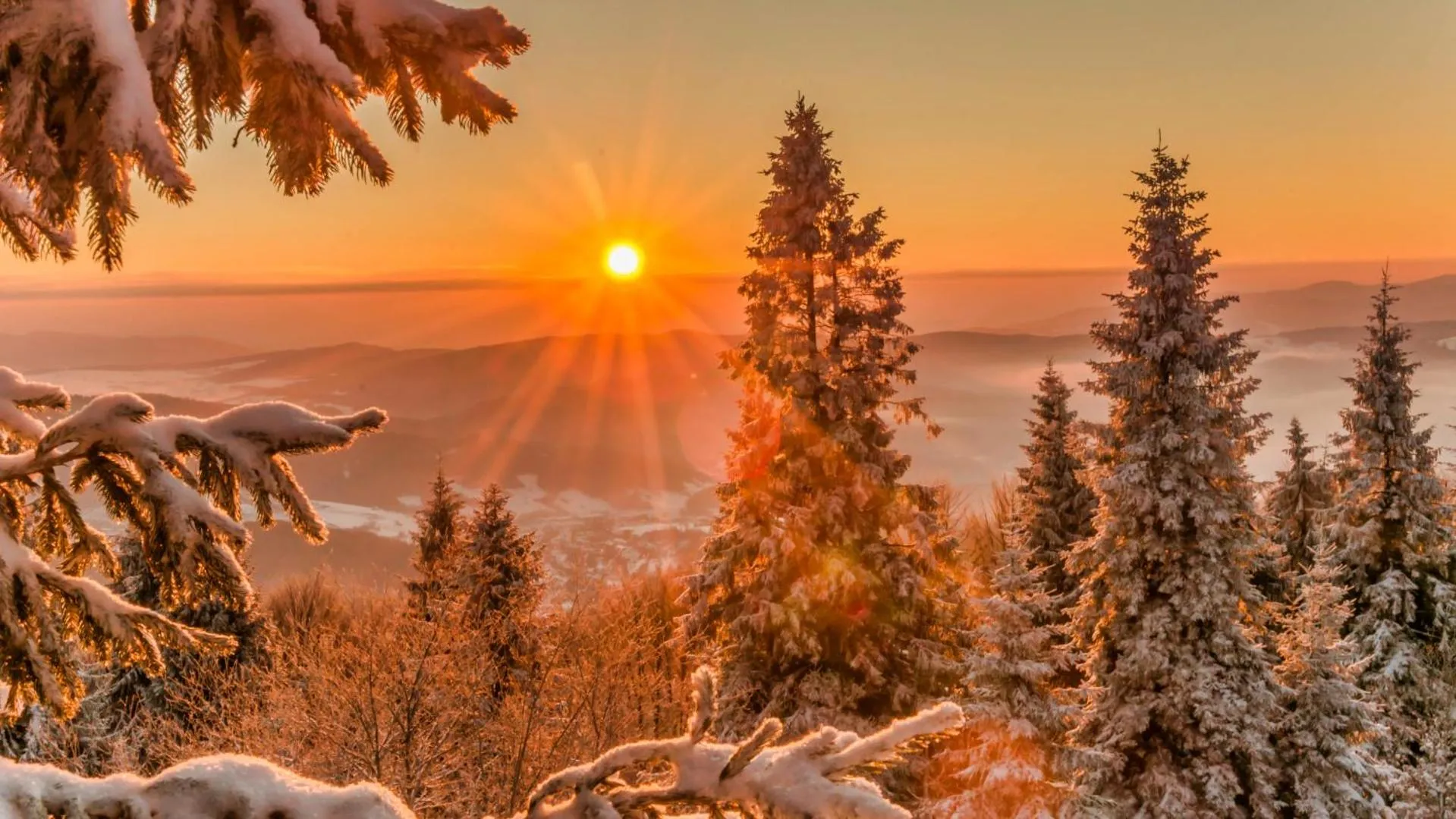 Off site in Hotel Czarny Potok Resort SPA & Conference