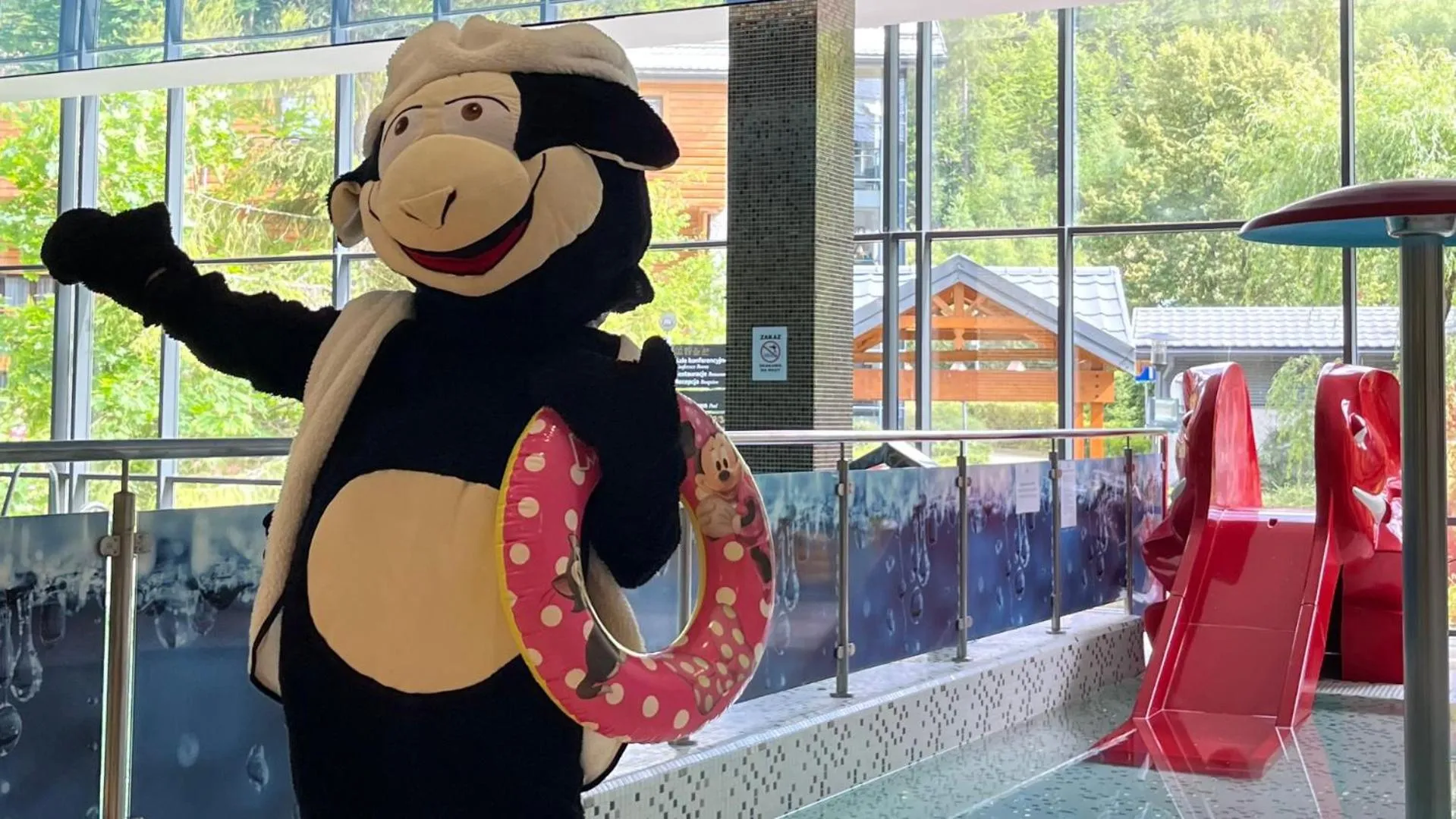 Swimming pool in Hotel Czarny Potok Resort SPA & Conference