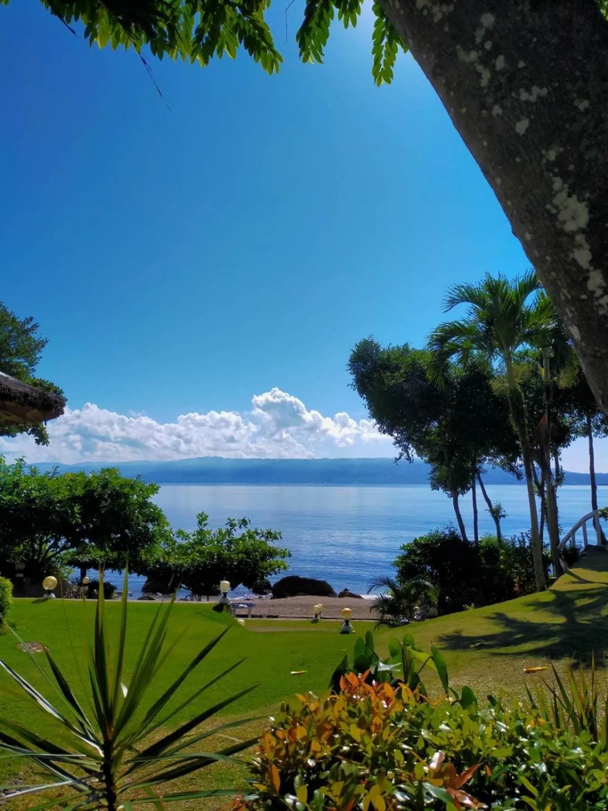 Day in Wuthering Heights Bed & Breakfast by the Sea