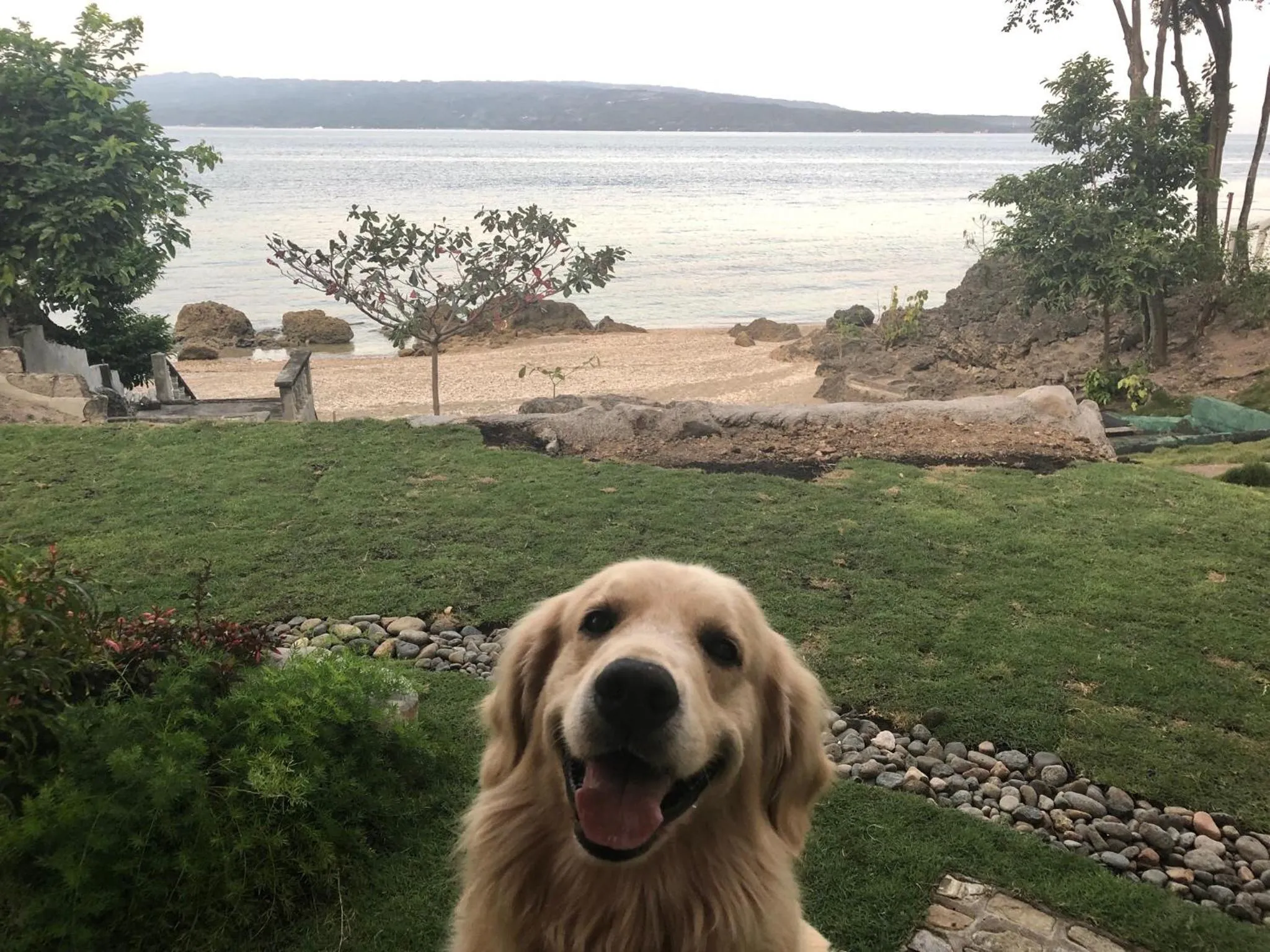 Beach in Wuthering Heights Bed & Breakfast by the Sea