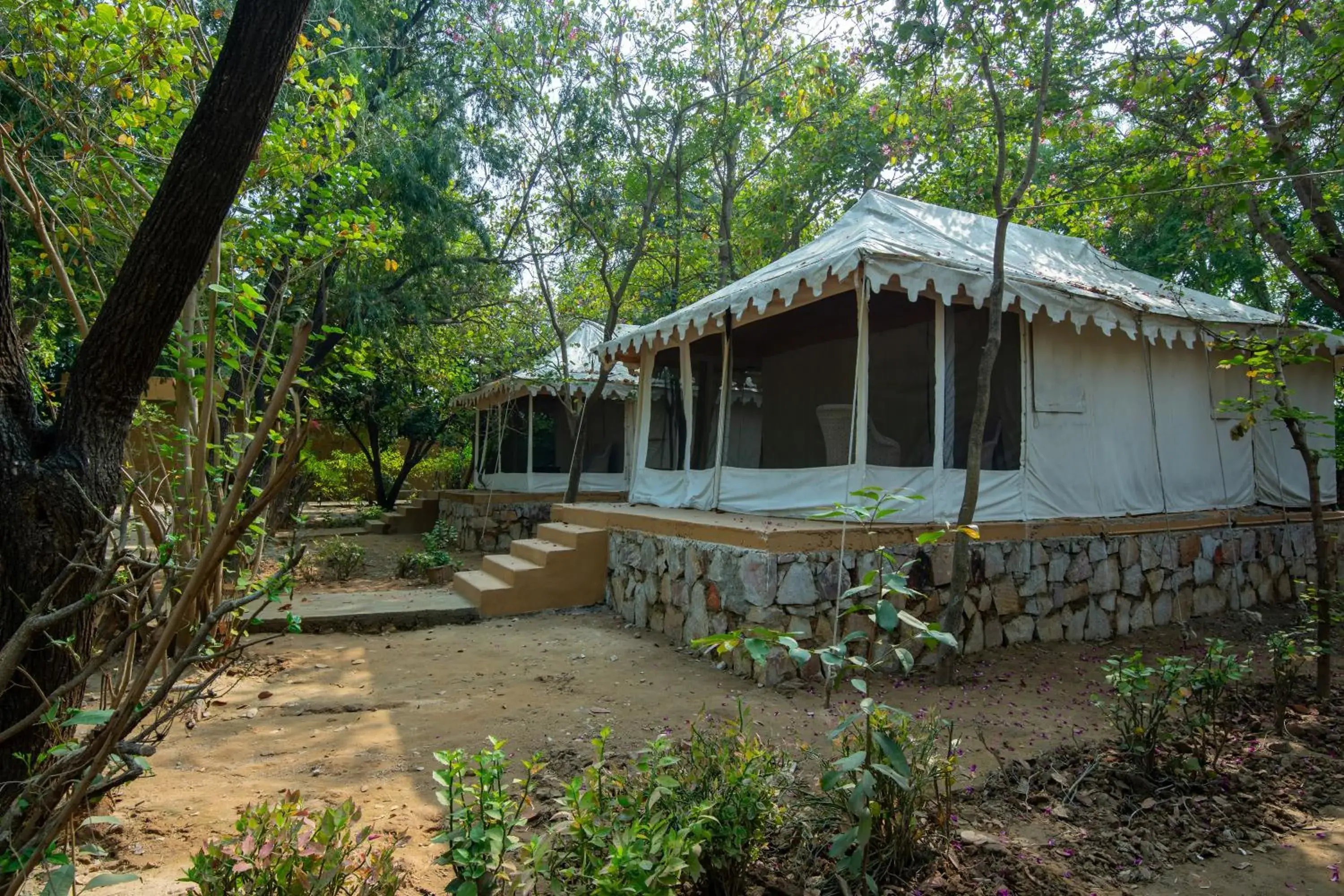 Luxury Tent in Ranthambore Tiger Machan Luxury Tent in Ranthambore Tiger Machan