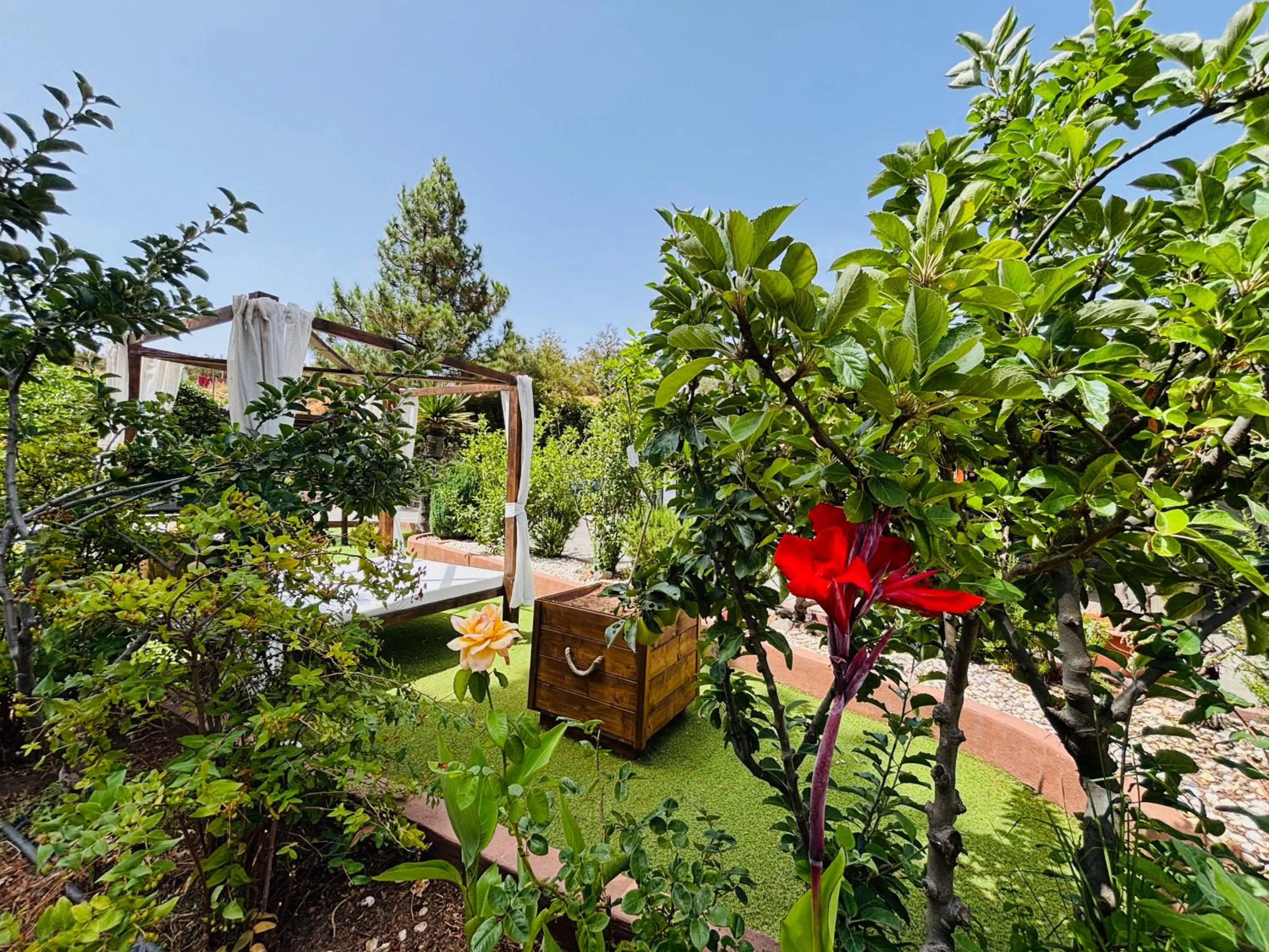 Garden in Hotel Rural El Refugio - Solo Adultos