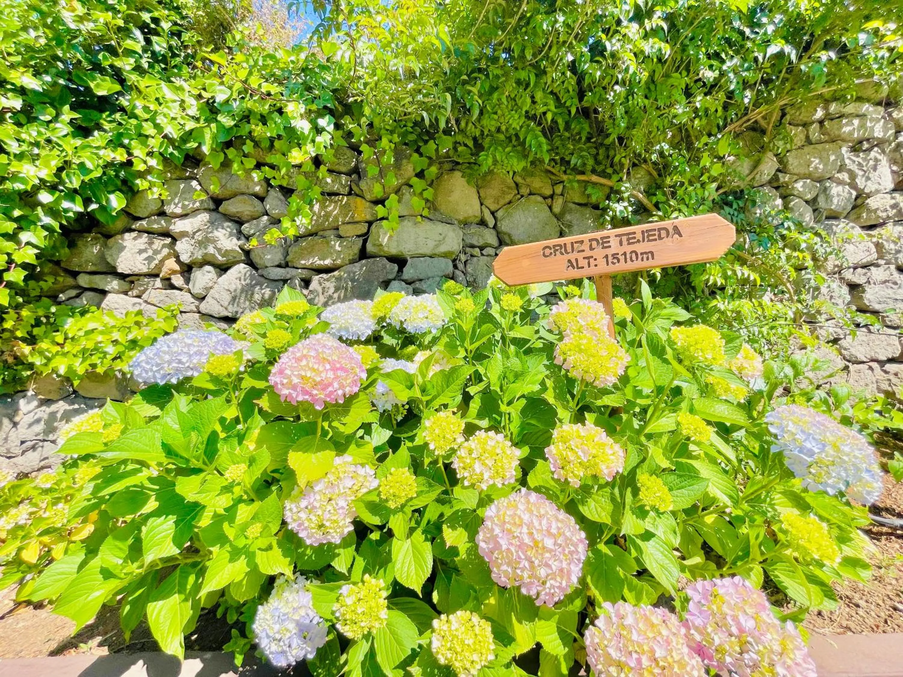 Garden in Hotel Rural El Refugio - Solo Adultos