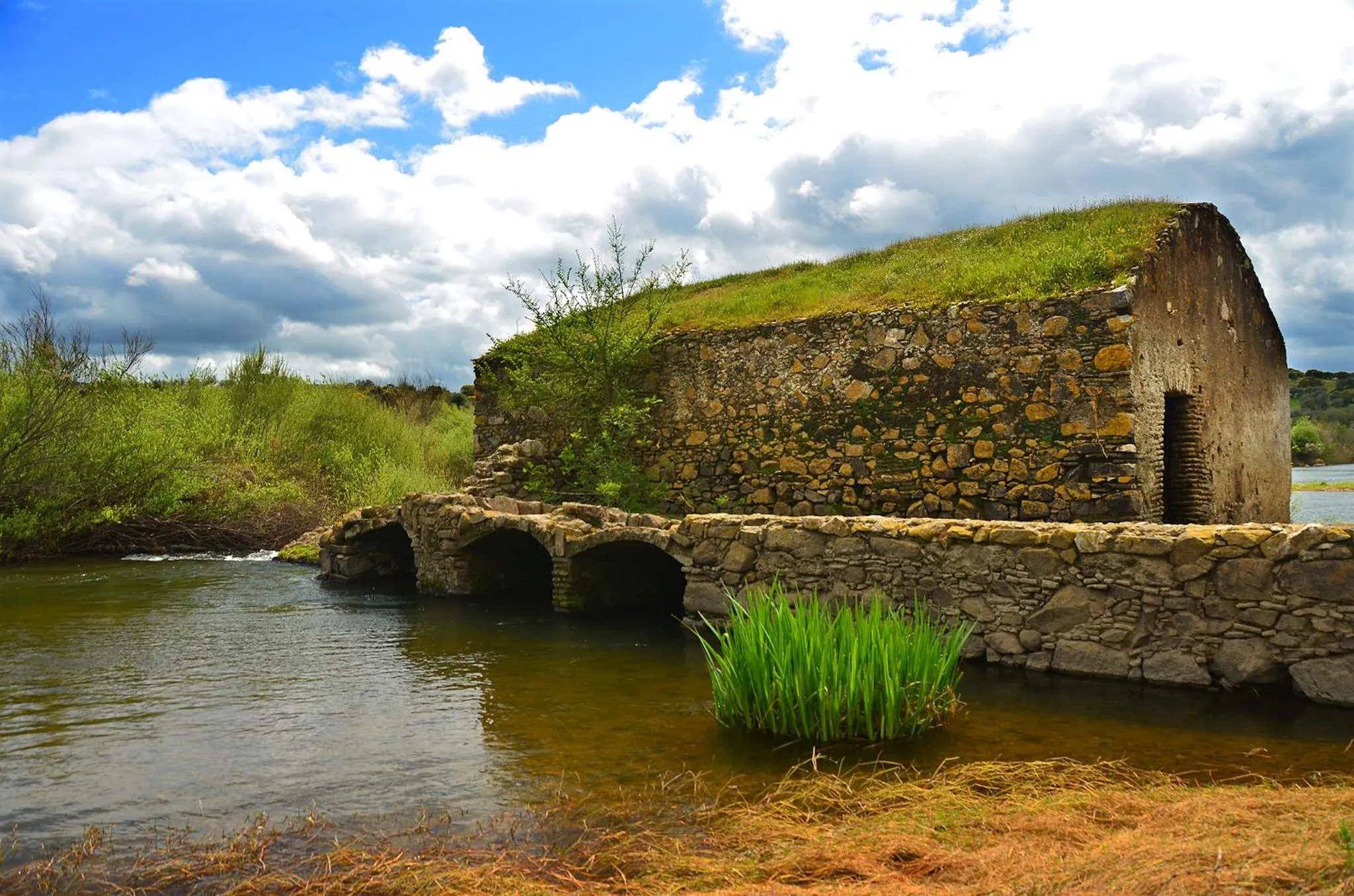 Casa de Serpa - Turismo Rural