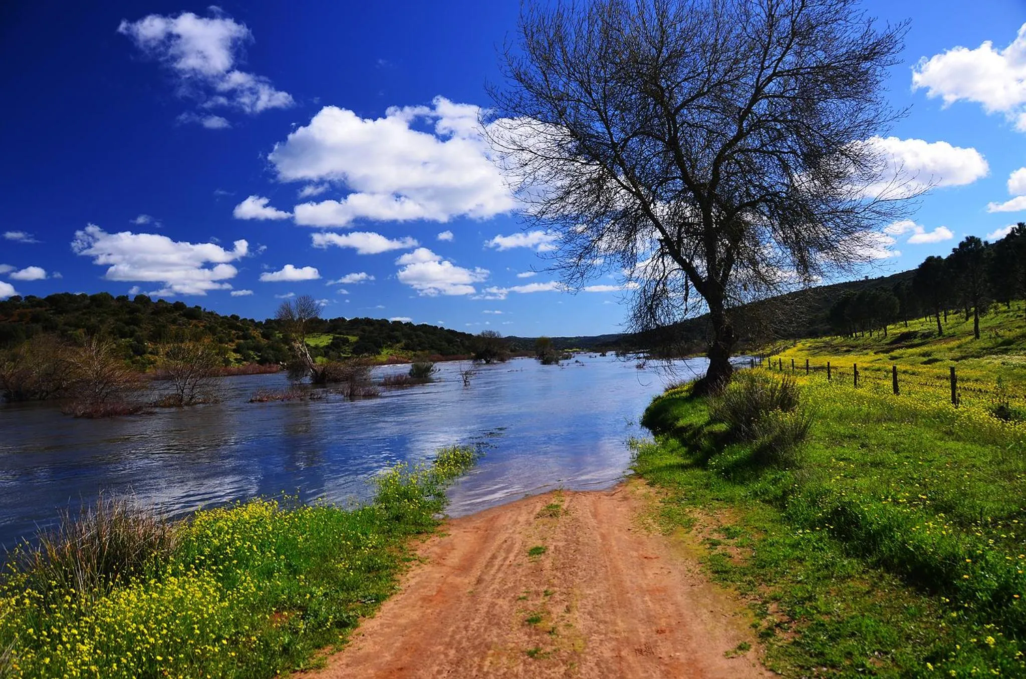 Casa de Serpa - Turismo Rural