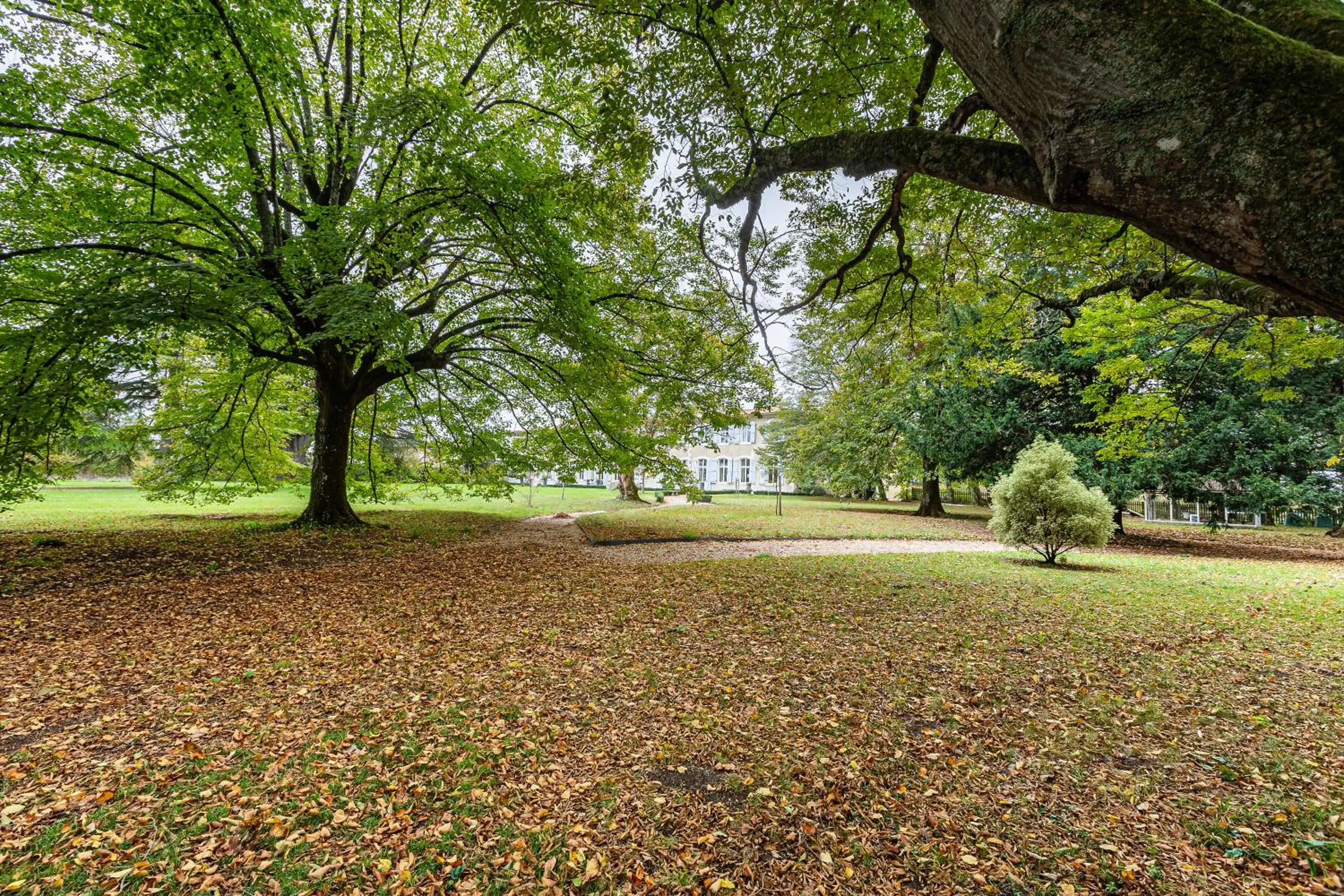 Natural landscape in Hôtel Château de Didonne