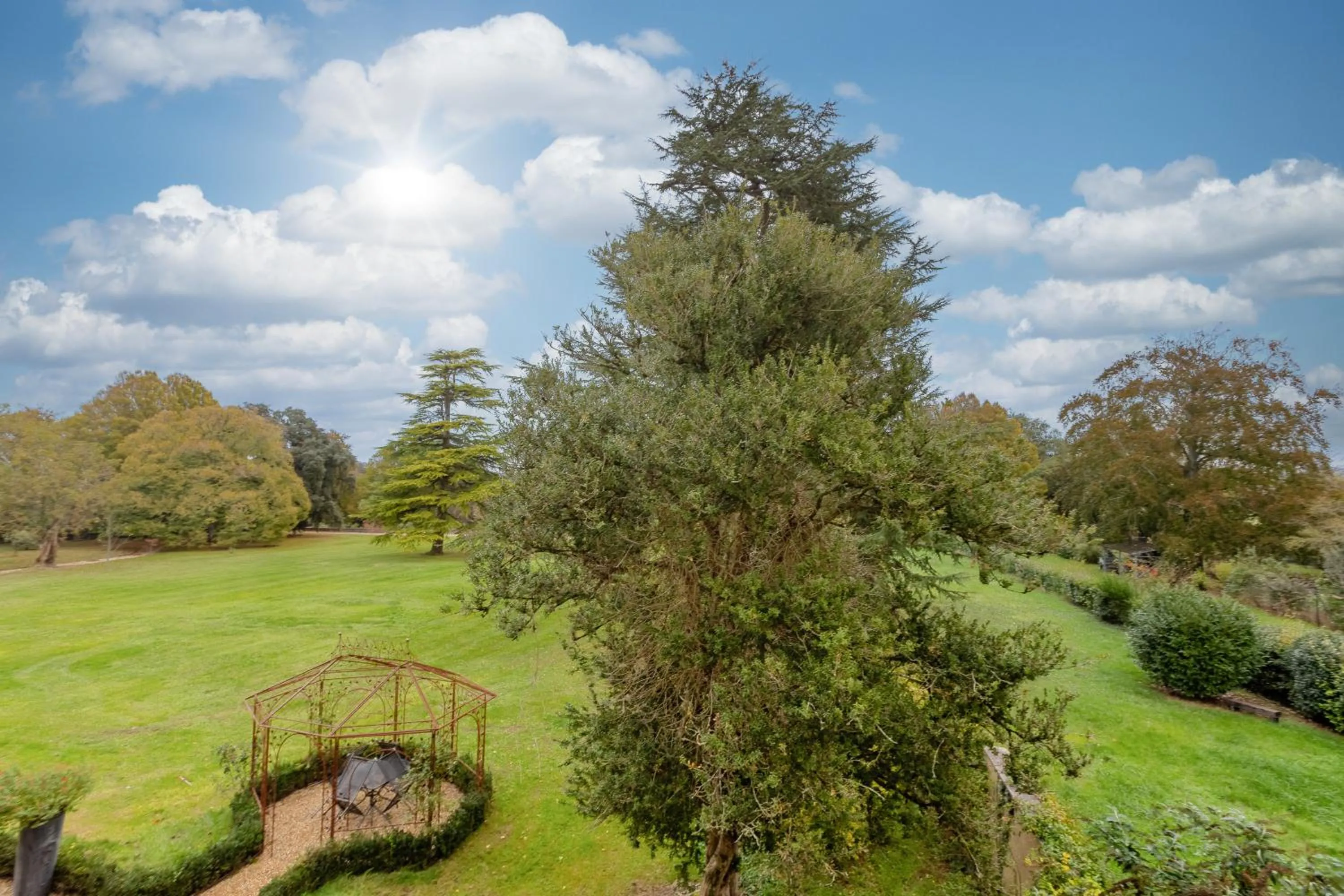 Garden in Hôtel Château de Didonne