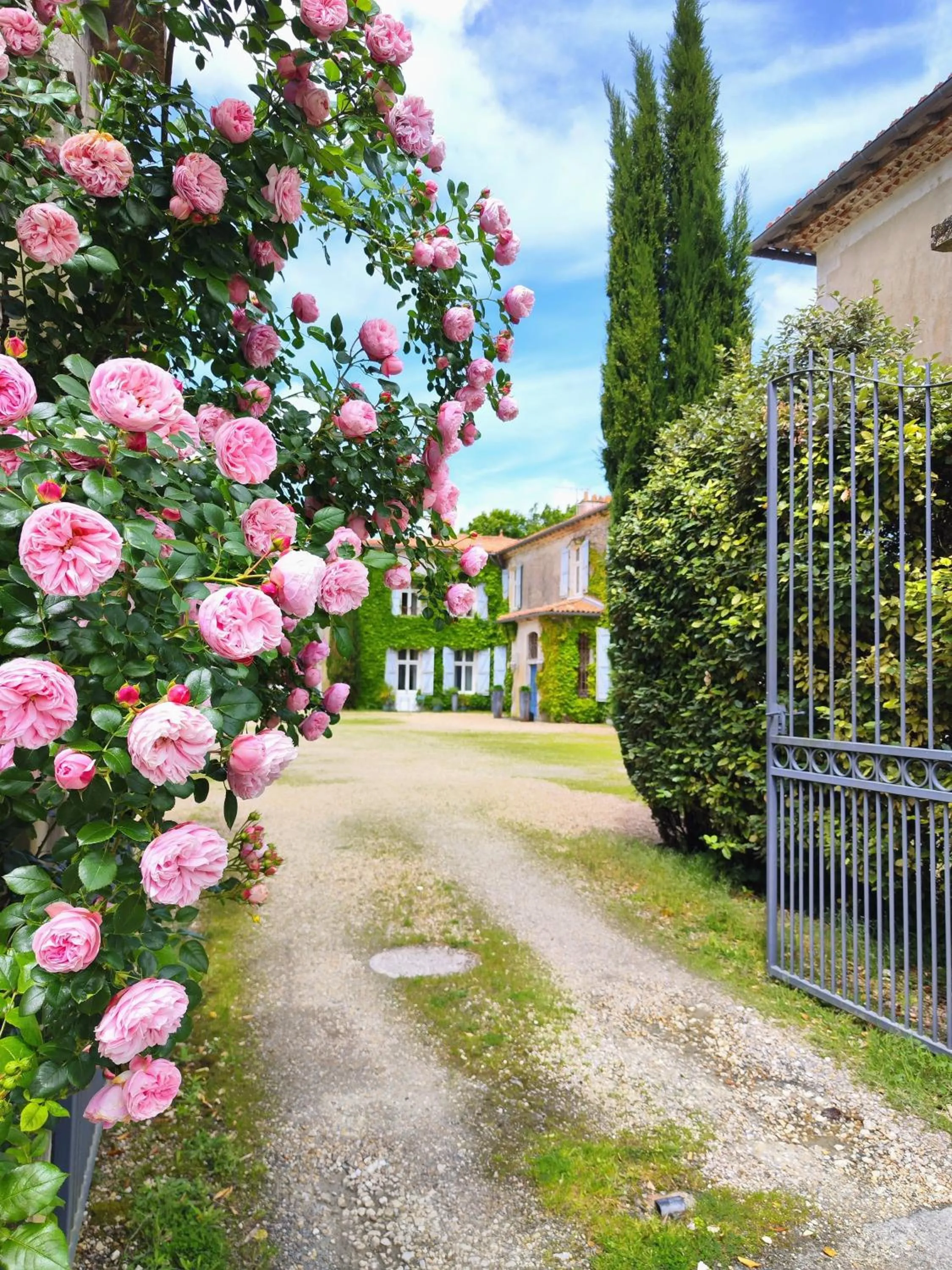 Garden in Hôtel Château de Didonne