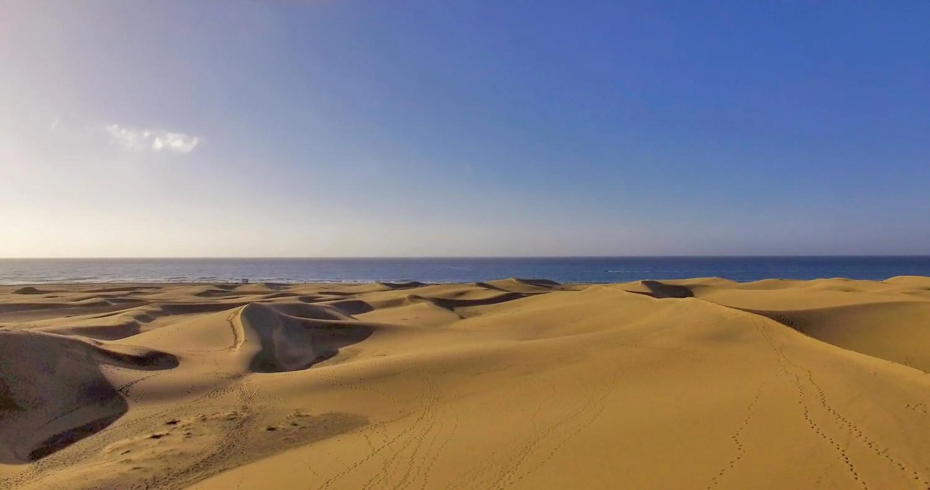 Natural landscape in Bohemia Suites & Spa - Adults Only