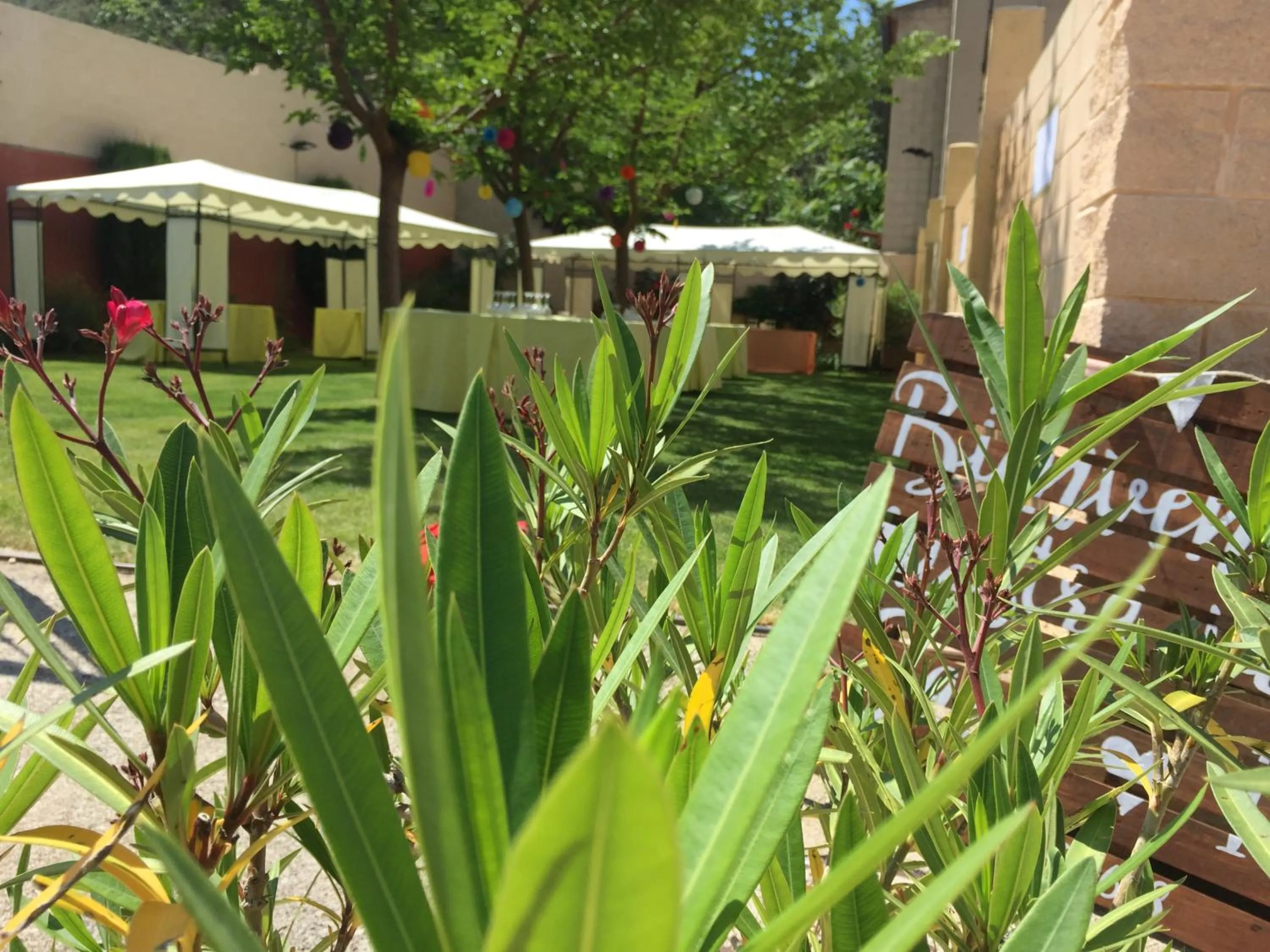Garden in Hotel Castellote