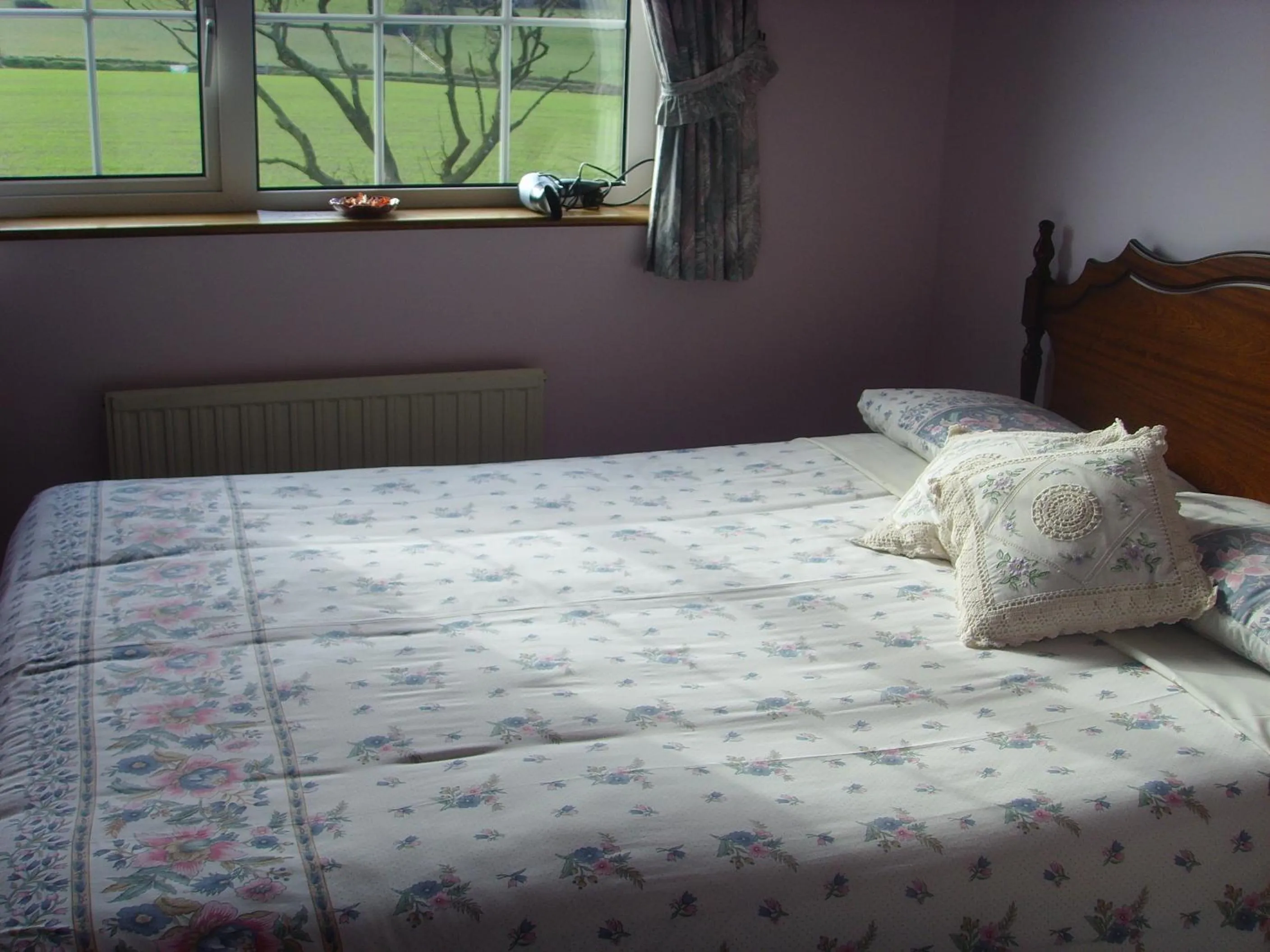 Bed in Springfield House B&B