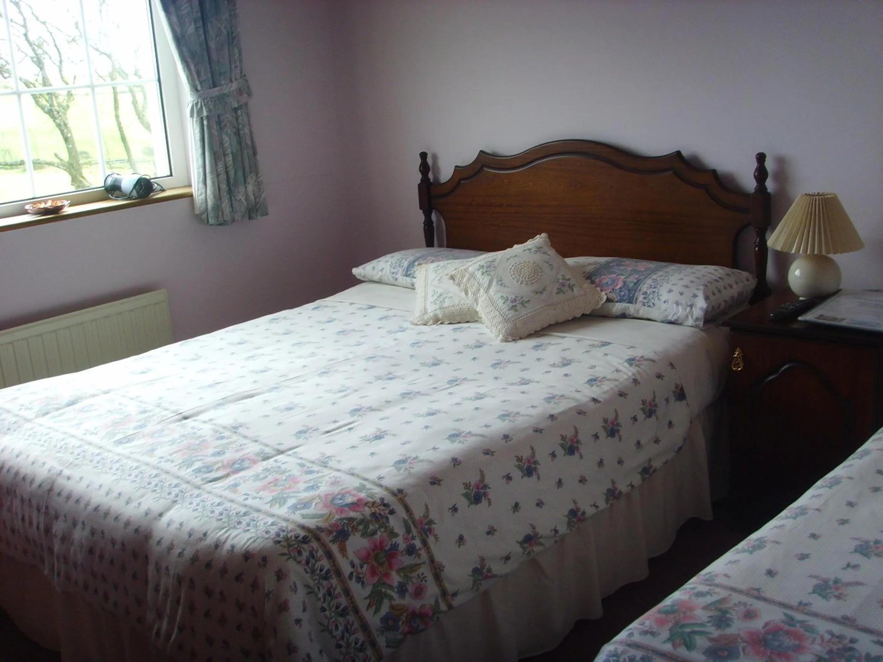 Bed in Springfield House B&B