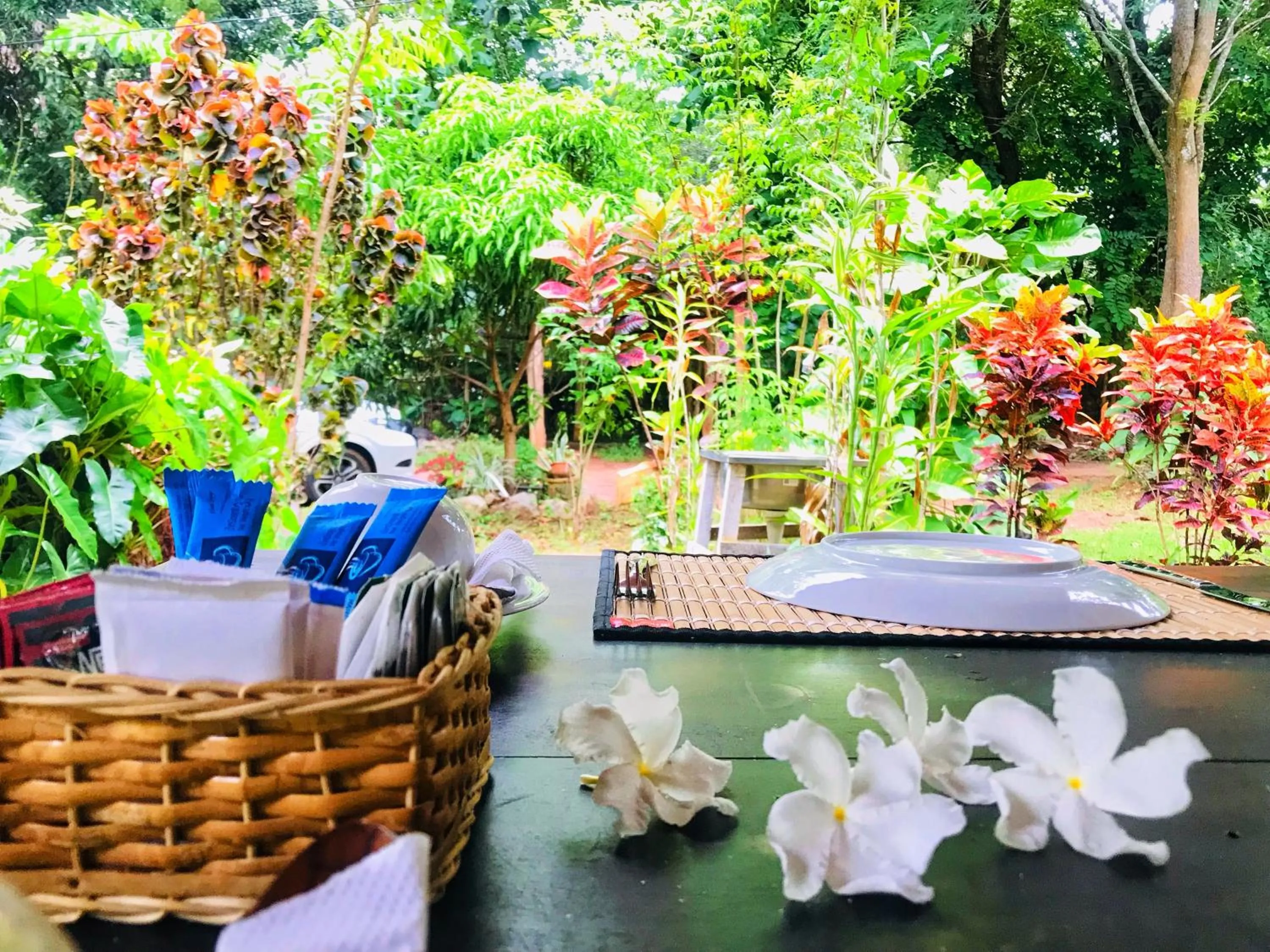 Property building in Palmyra Nature Resort Sigiriya