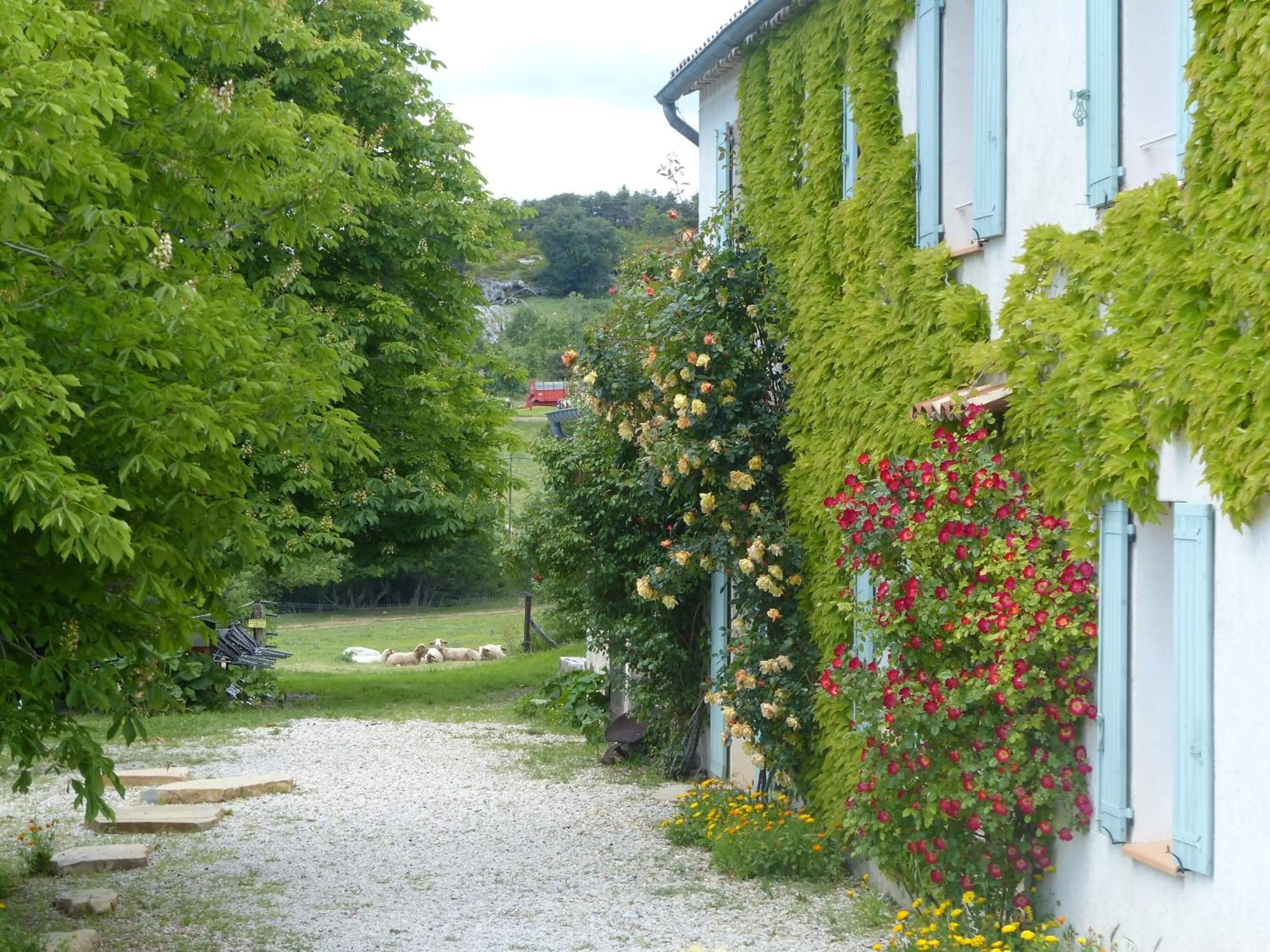 Facade/entrance in La Ferme du petit Ségriès Bed and Breakfast