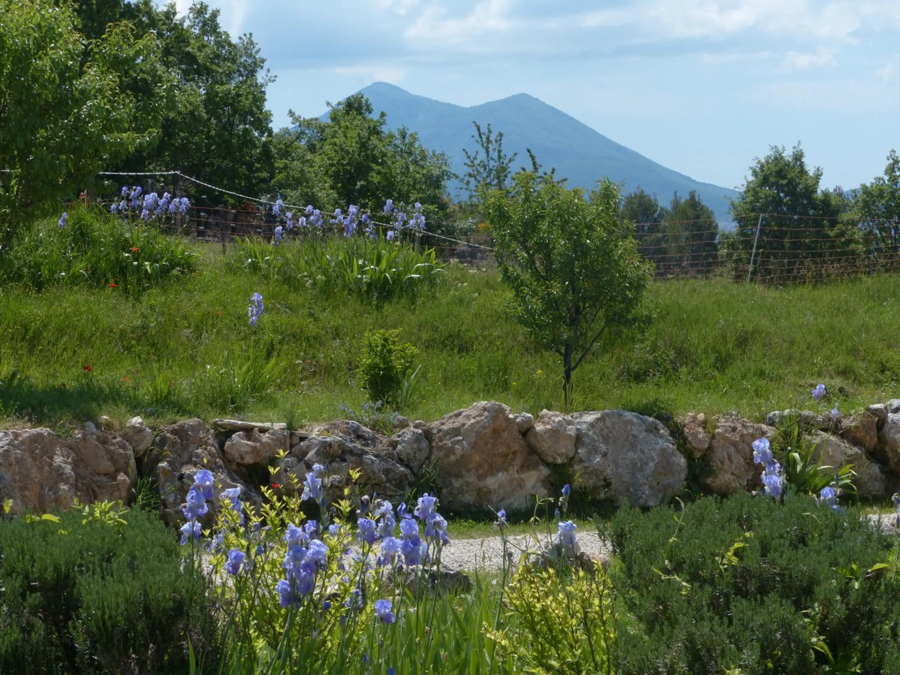 Garden in La Ferme du petit Ségriès Bed and Breakfast