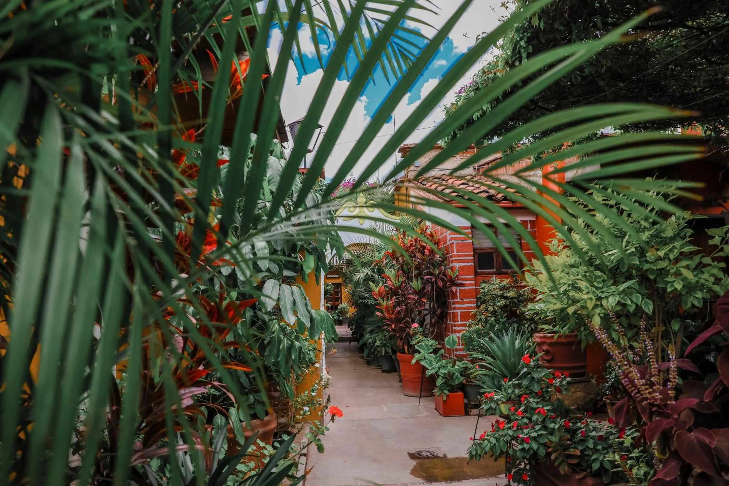 Natural landscape in Hotel Las Golondrinas