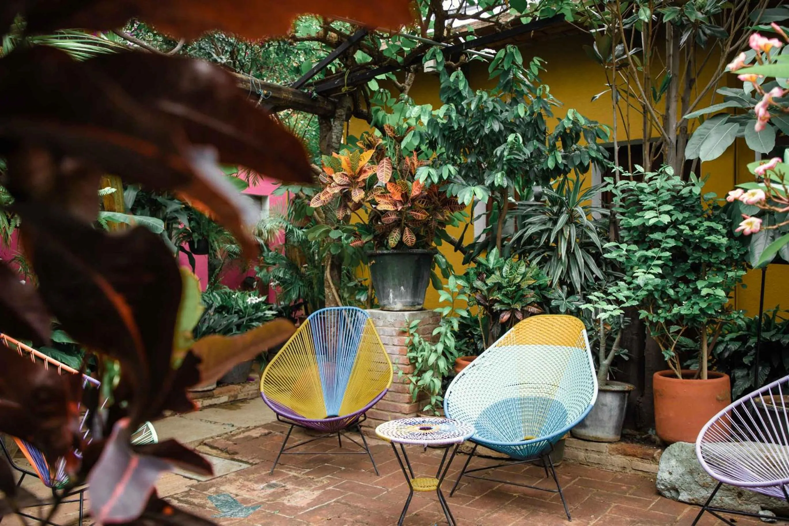 Patio in Hotel Las Golondrinas