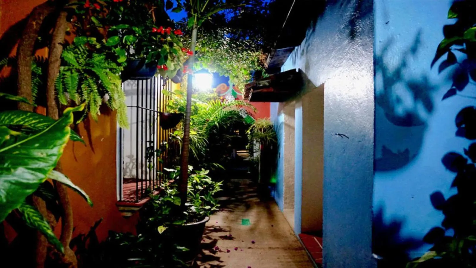 Night in Hotel Las Golondrinas