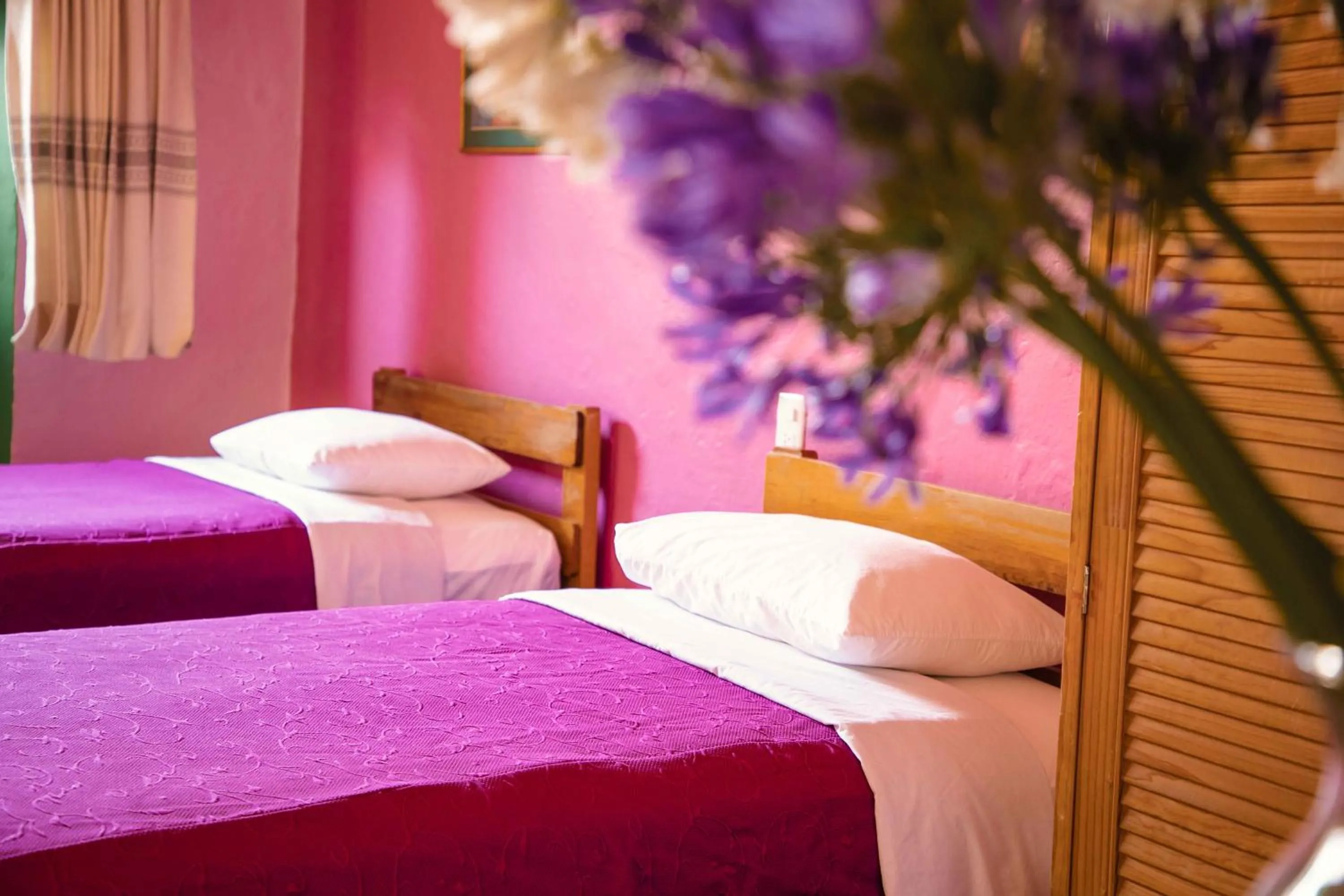 Bed in Hotel Las Golondrinas