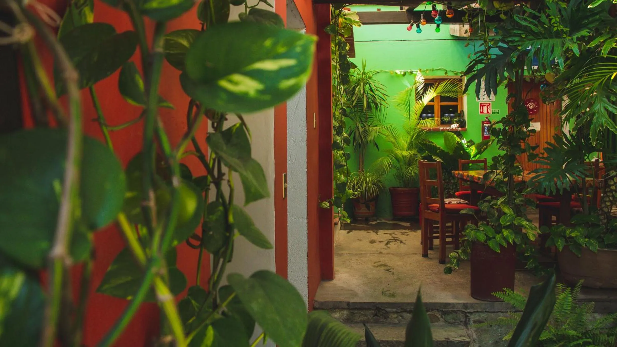 Patio in Hotel Las Golondrinas