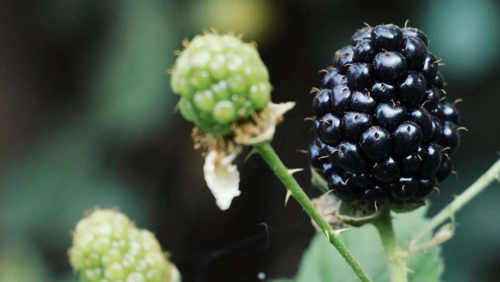 Summer in Hotel Las Golondrinas