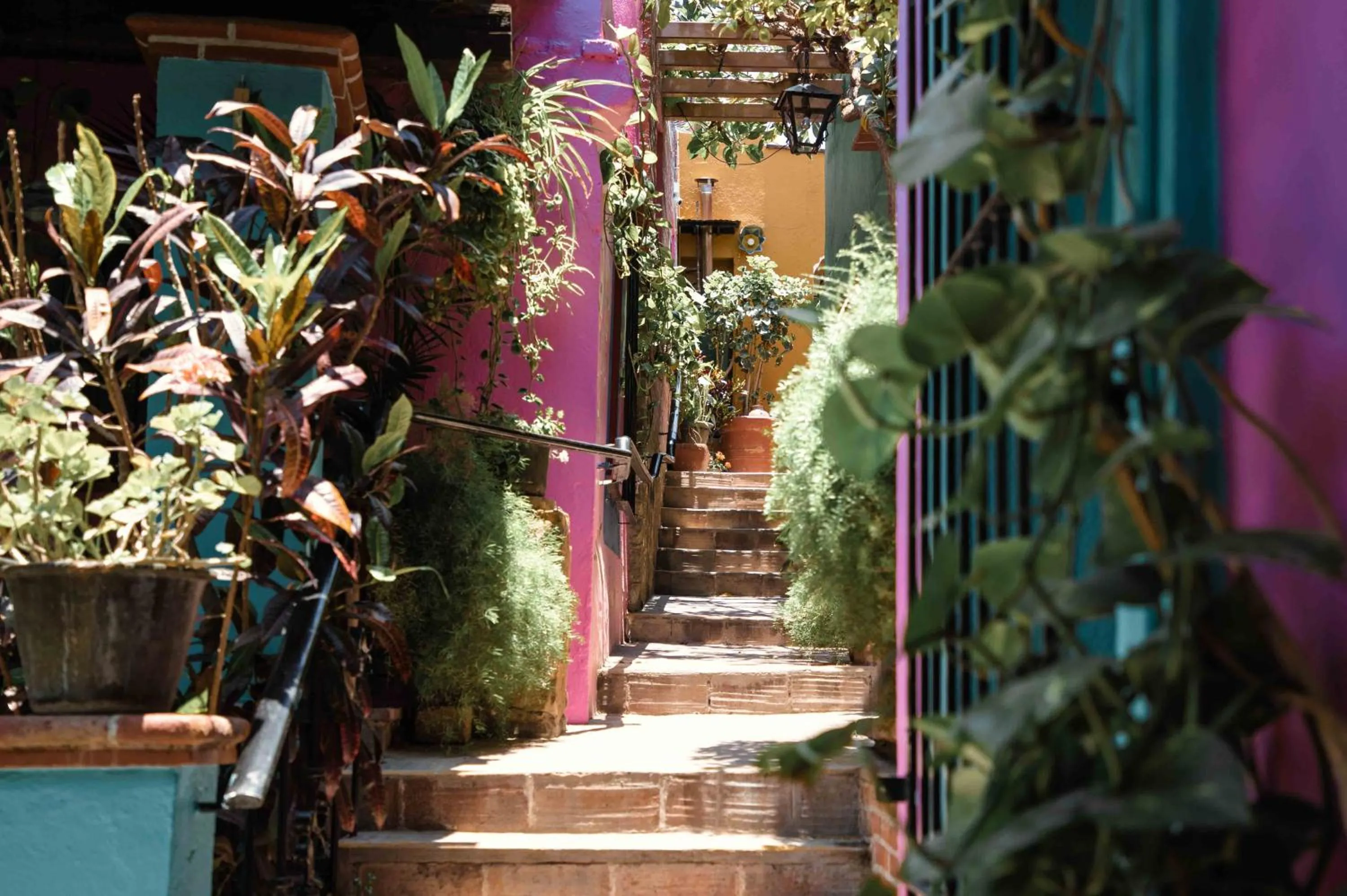 Spring in Hotel Las Golondrinas