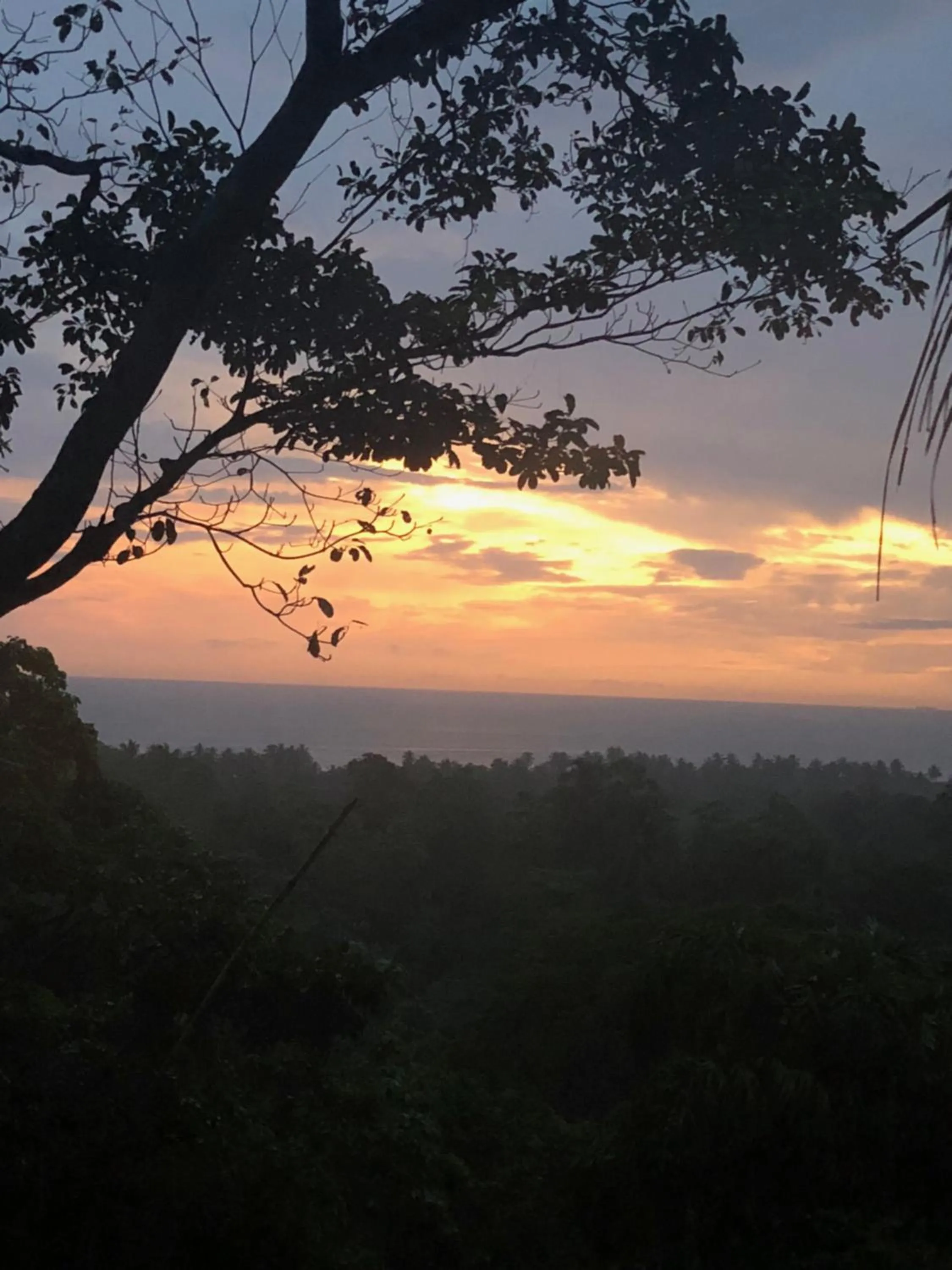 Natural landscape in Tabula Rasa Resort & Spa