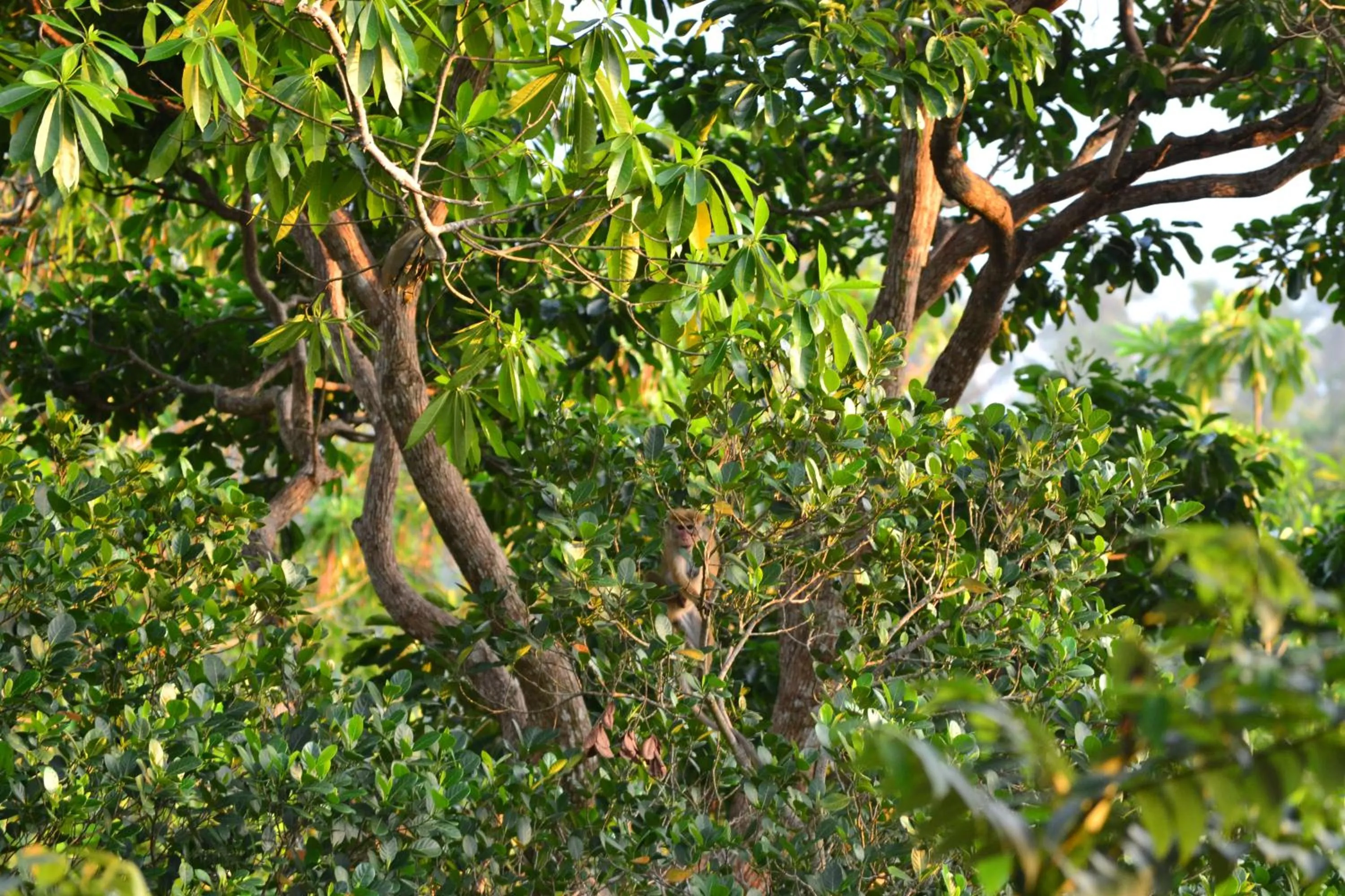 Natural landscape in Tabula Rasa Resort & Spa