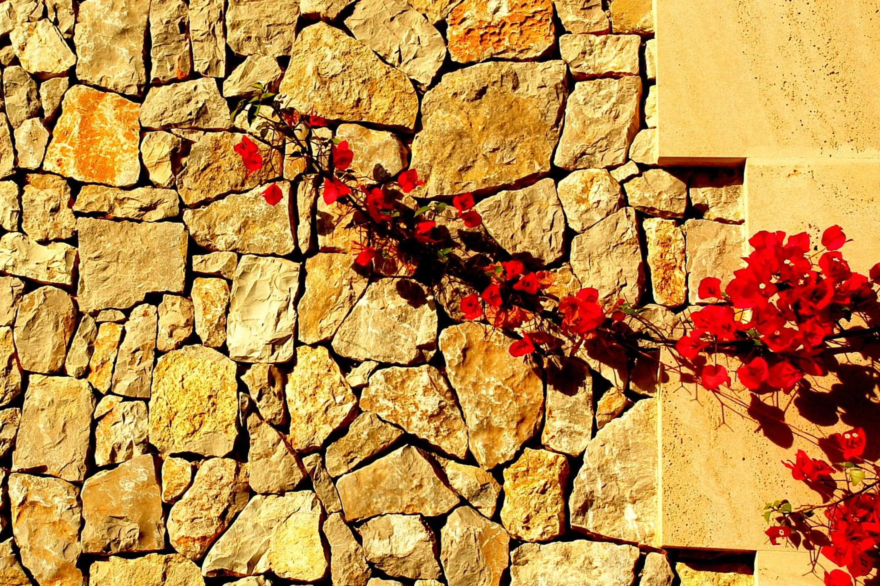 Garden in Aumallia Hotel & Spa