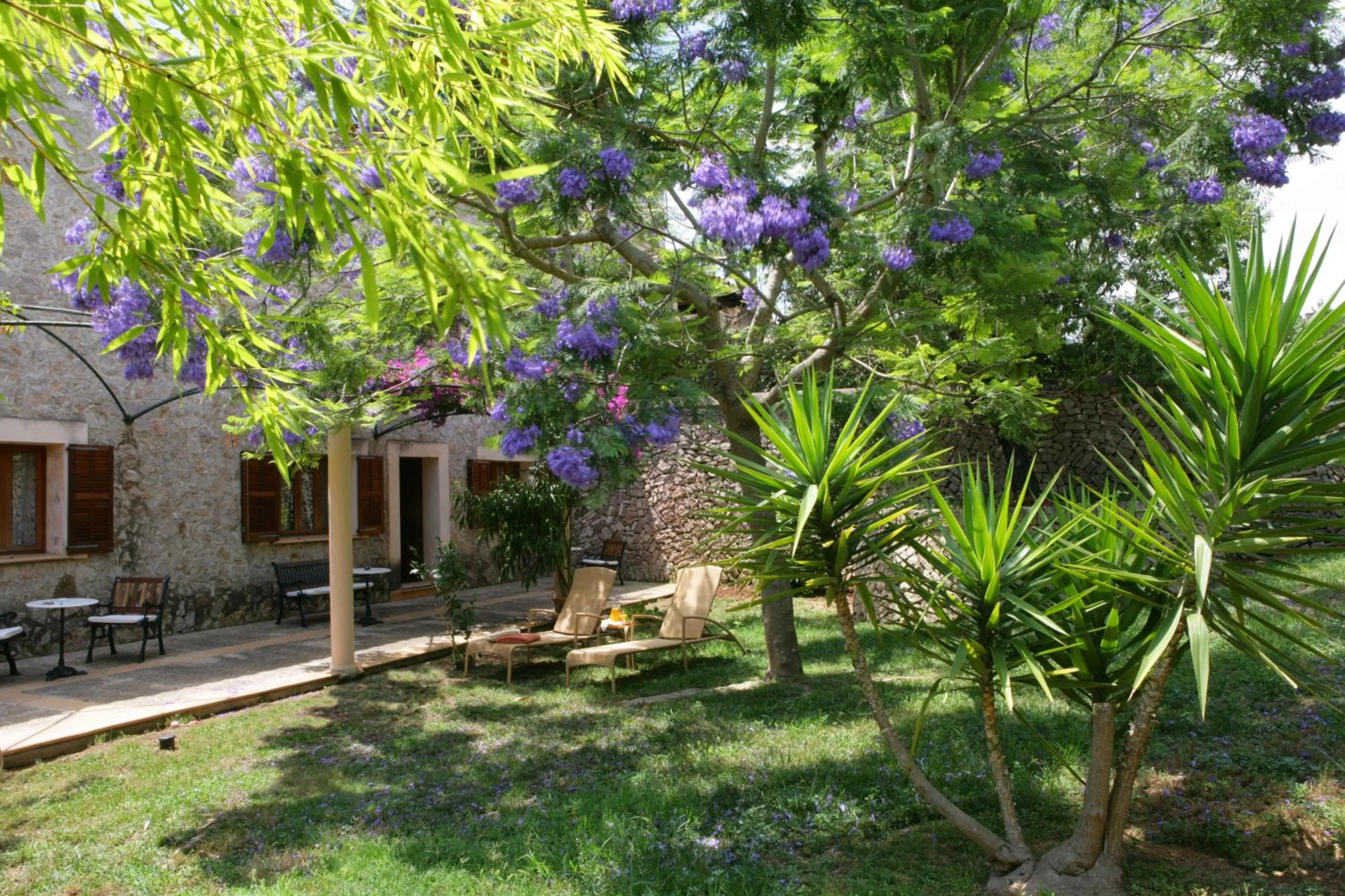 Garden in Aumallia Hotel & Spa