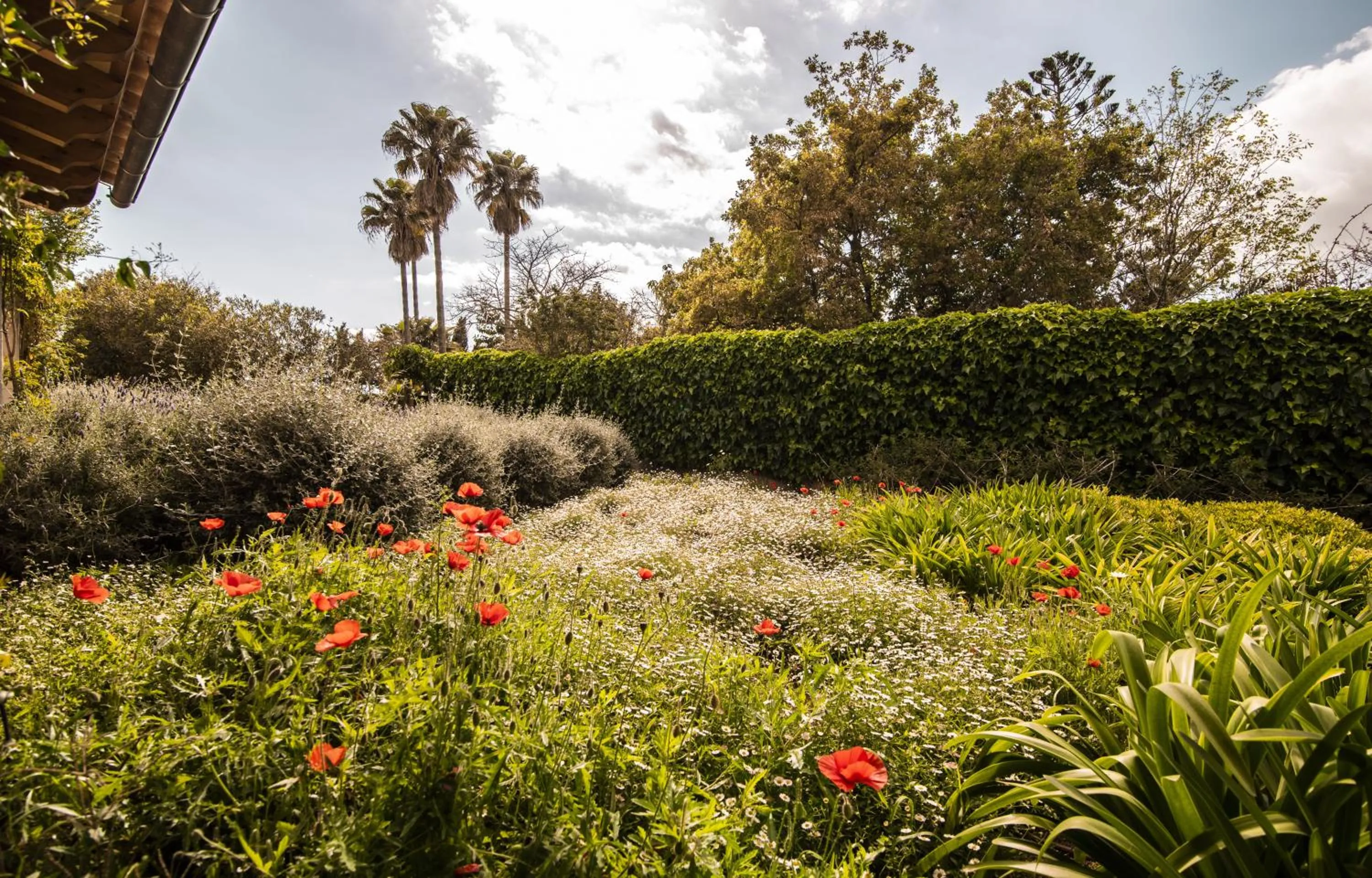 Balcony/Terrace in Aumallia Hotel & Spa