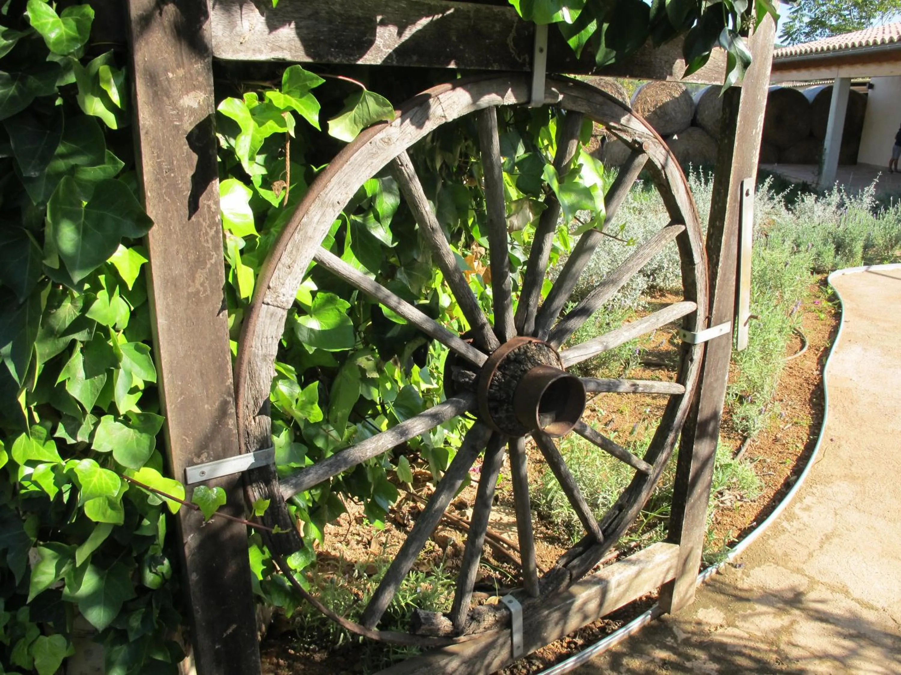 Garden in Aumallia Hotel & Spa