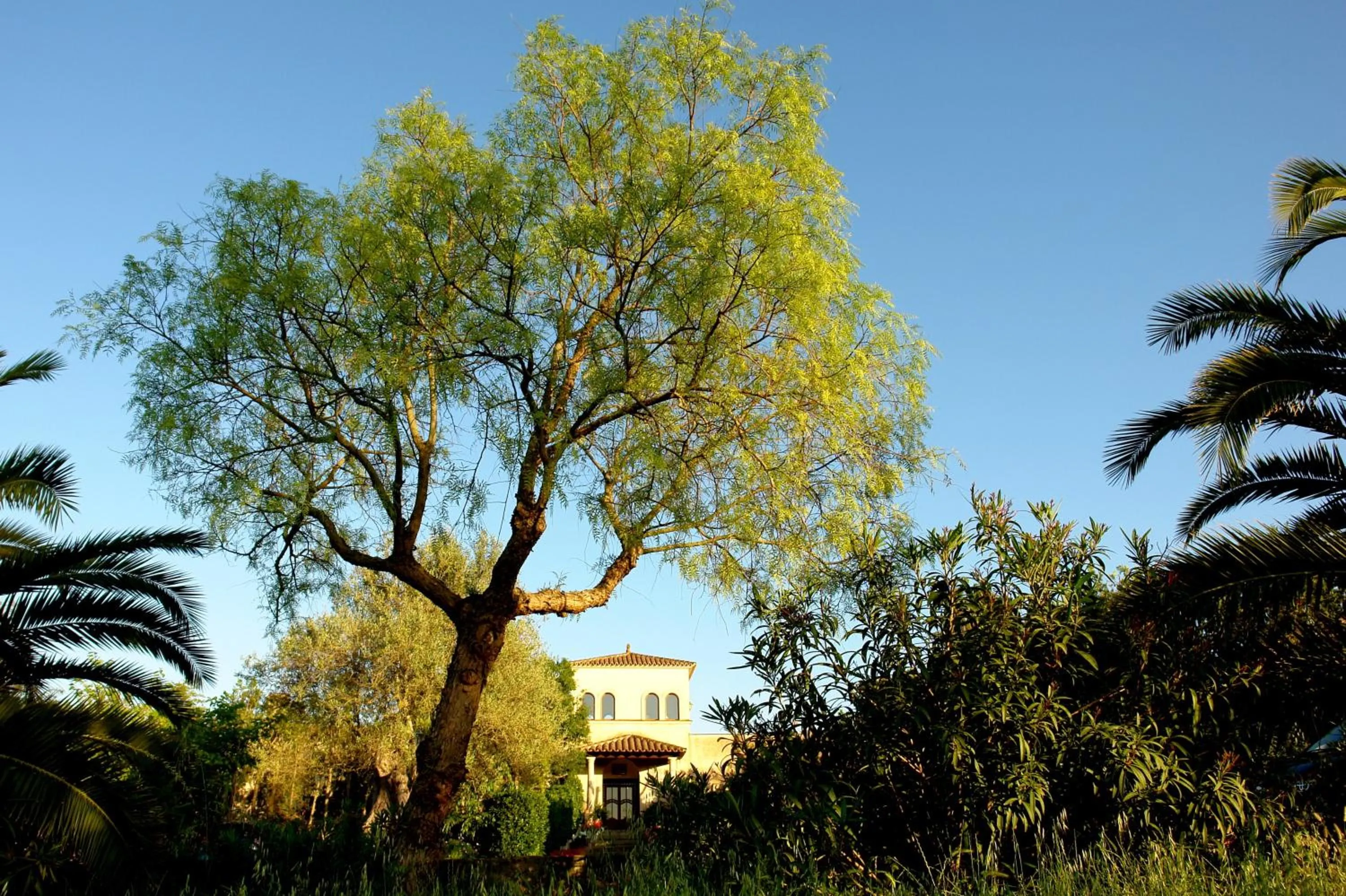 Area and facilities in Aumallia Hotel & Spa