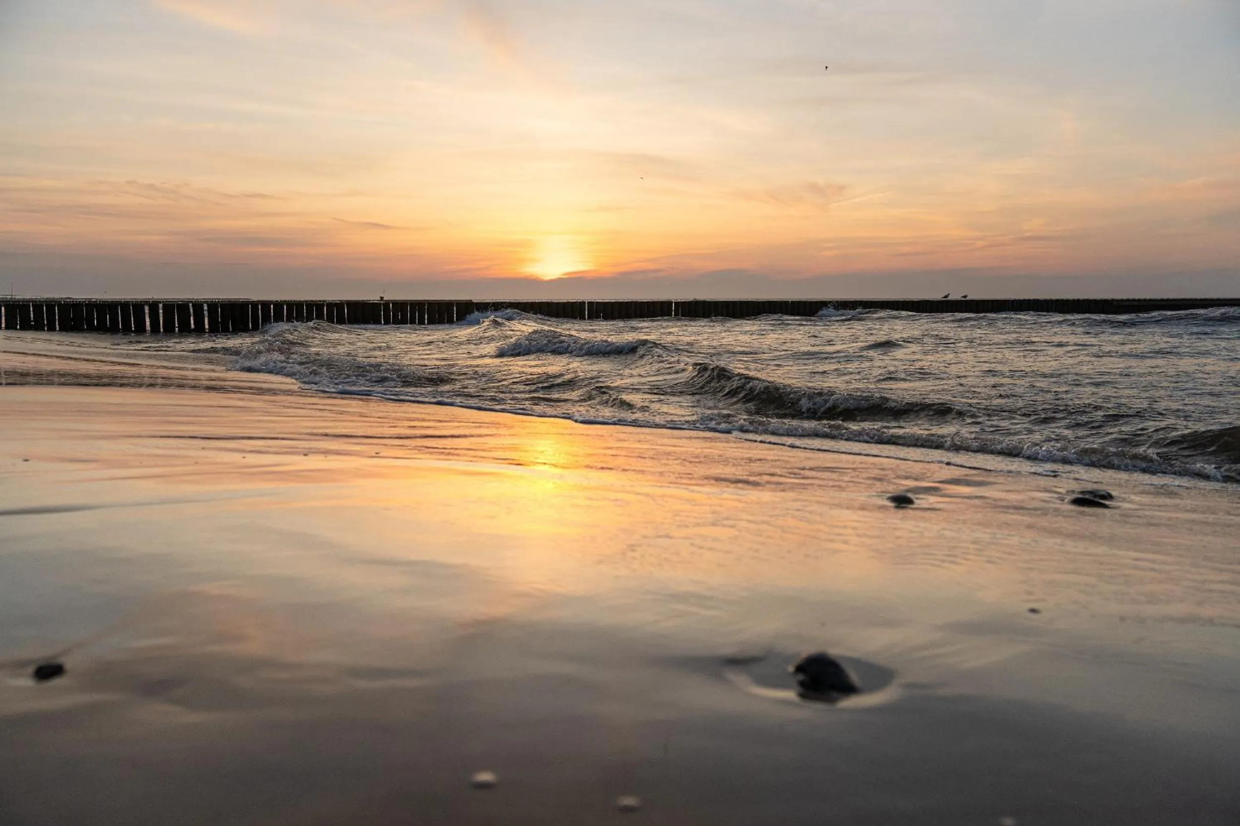 Natural landscape in Aquapark Health Resort & Medical SPA Panorama Morska All Inclusive