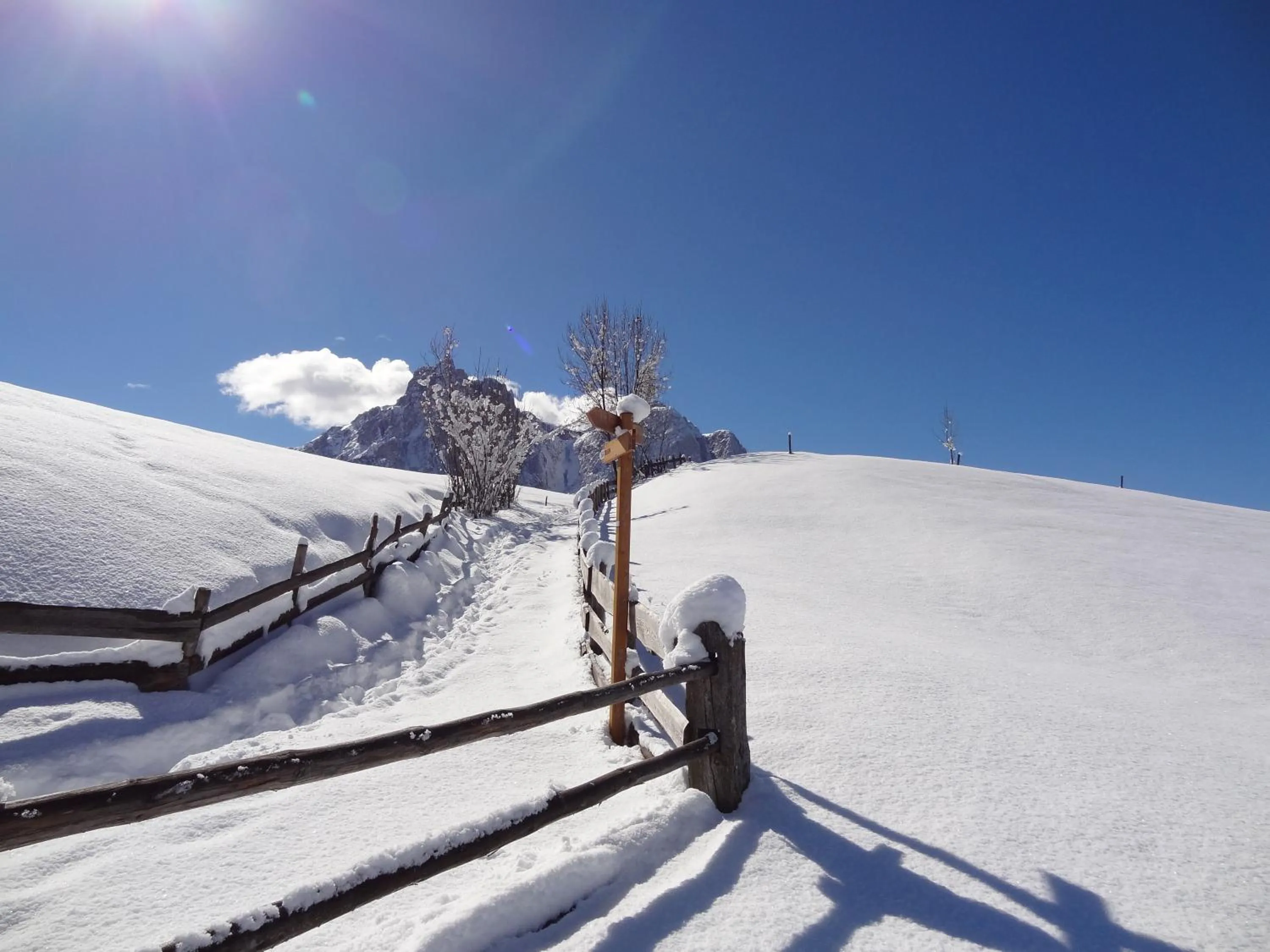 Area and facilities in Hotel Castel Oswald von Wolkenstein