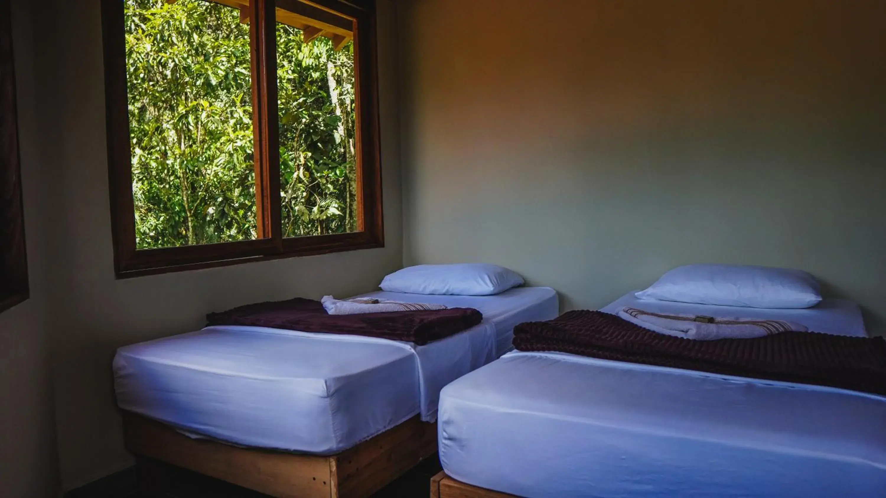 Twin Room in Ritmo del Rio Twin Room in Ritmo del Rio