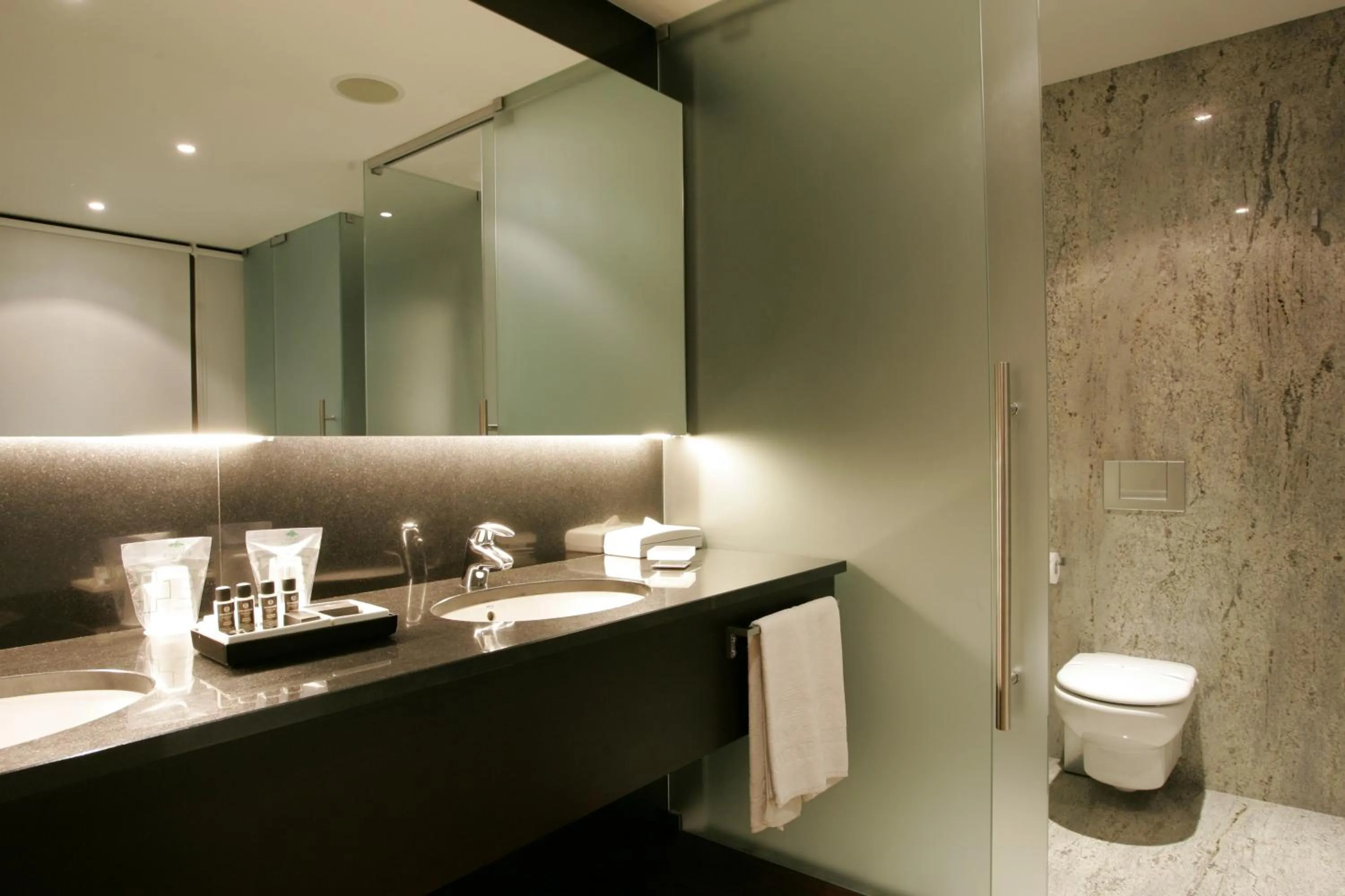 Toilet in Montebelo Viseu Congress Hotel & Spa