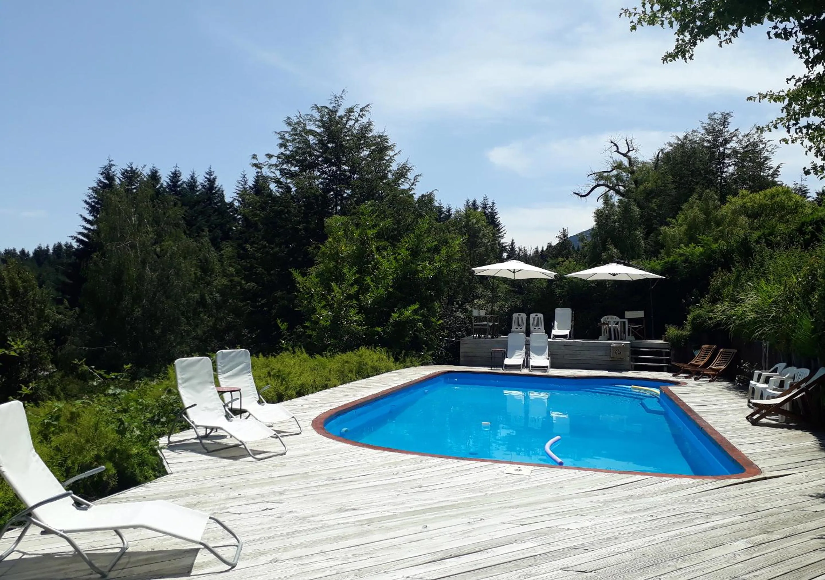 Garden in El Bosque by DOT Tradition