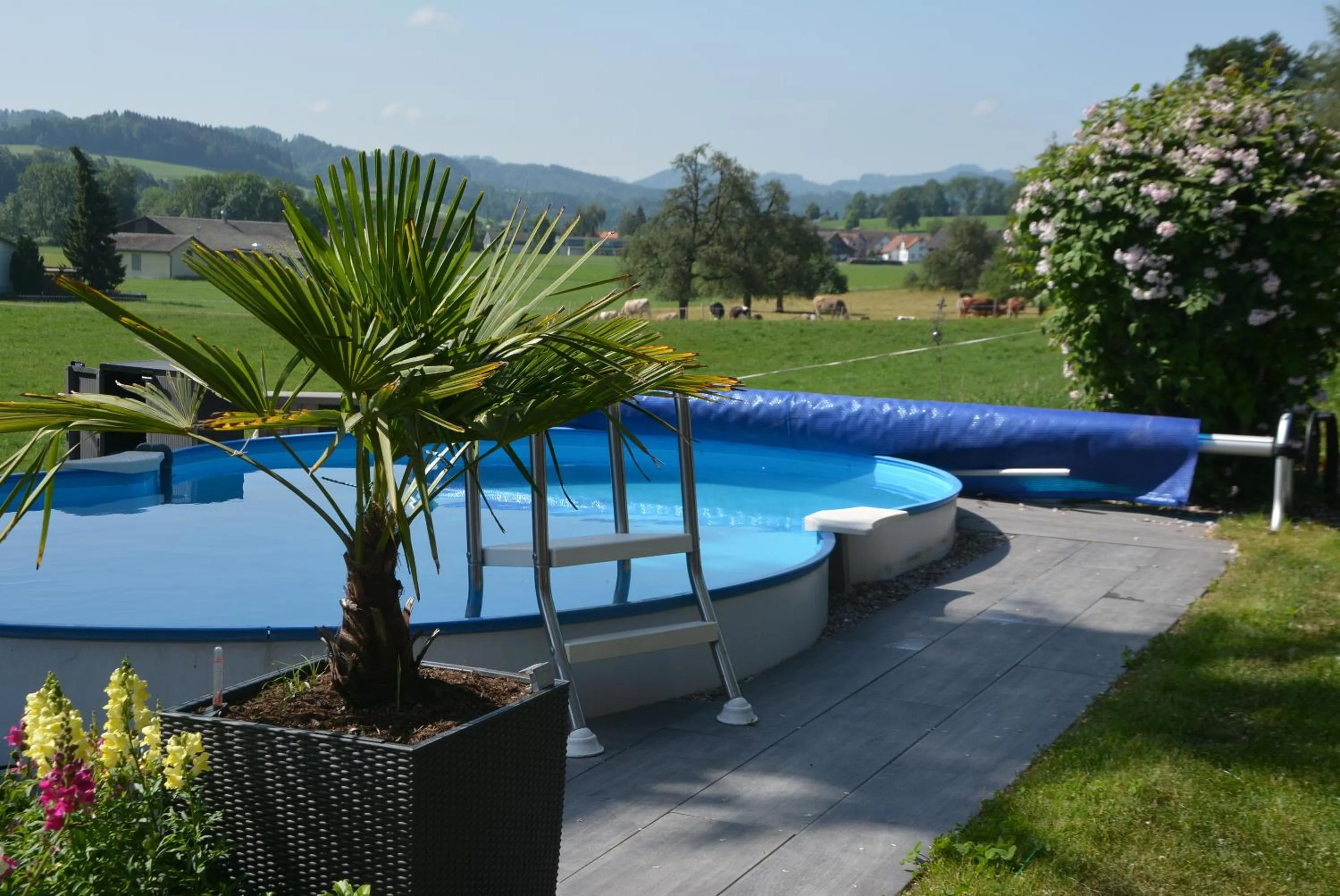 Pool view in BnB Sirnach