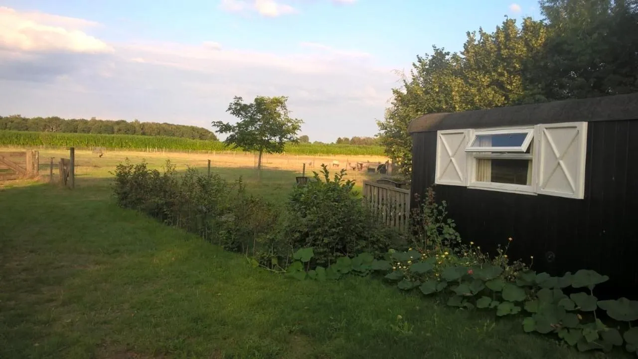 Pipowagen Lidewei Groningen Westerwolde unieke ligging met eigen tuin en vrij uitzicht over veld naar natuurgebied