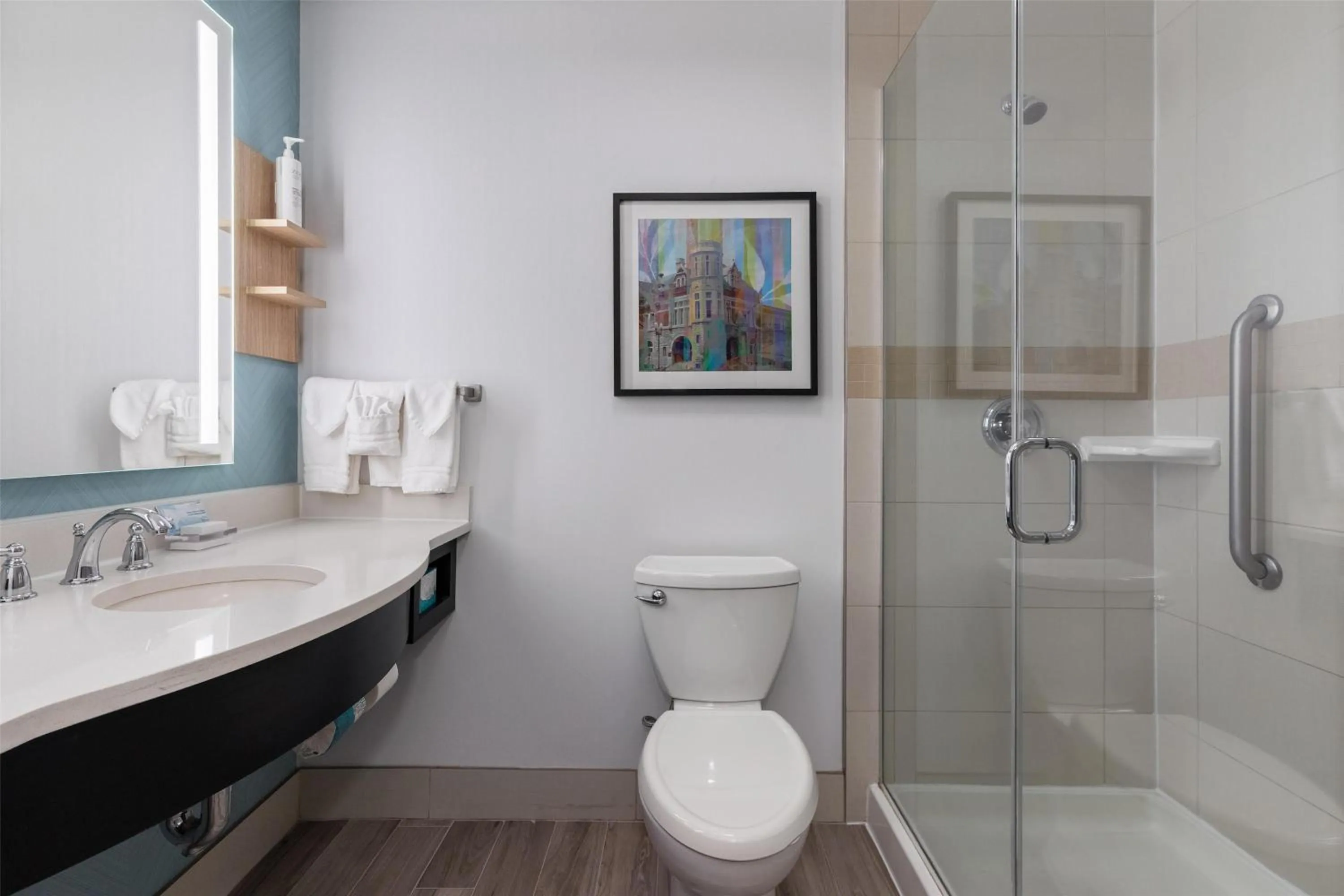 Bathroom in Hilton Garden Inn Auburn