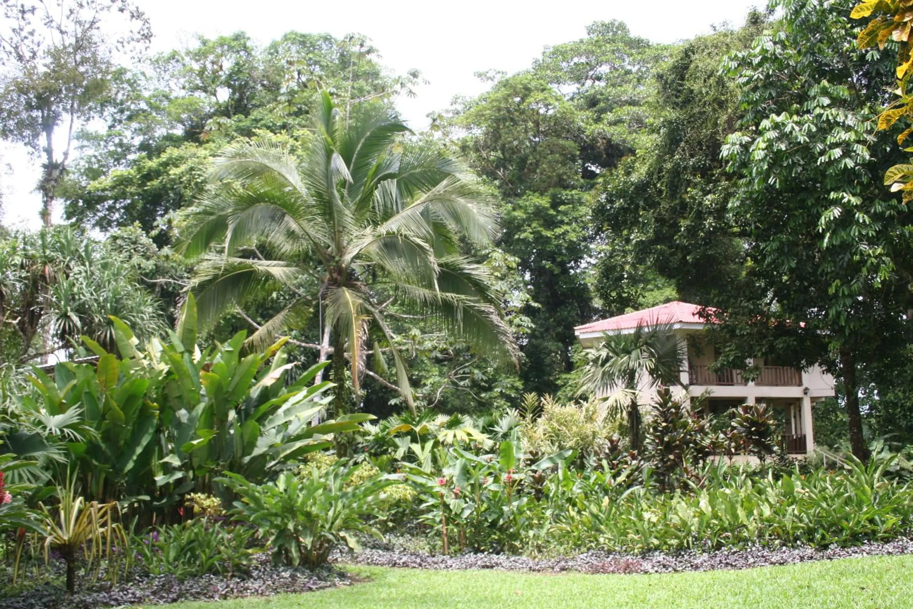 Garden in Heliconia Island