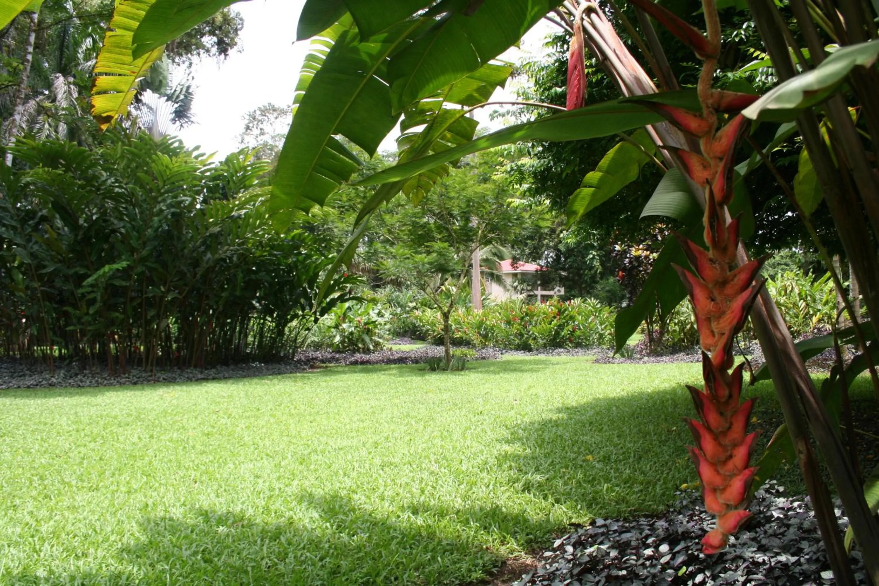 Garden in Heliconia Island