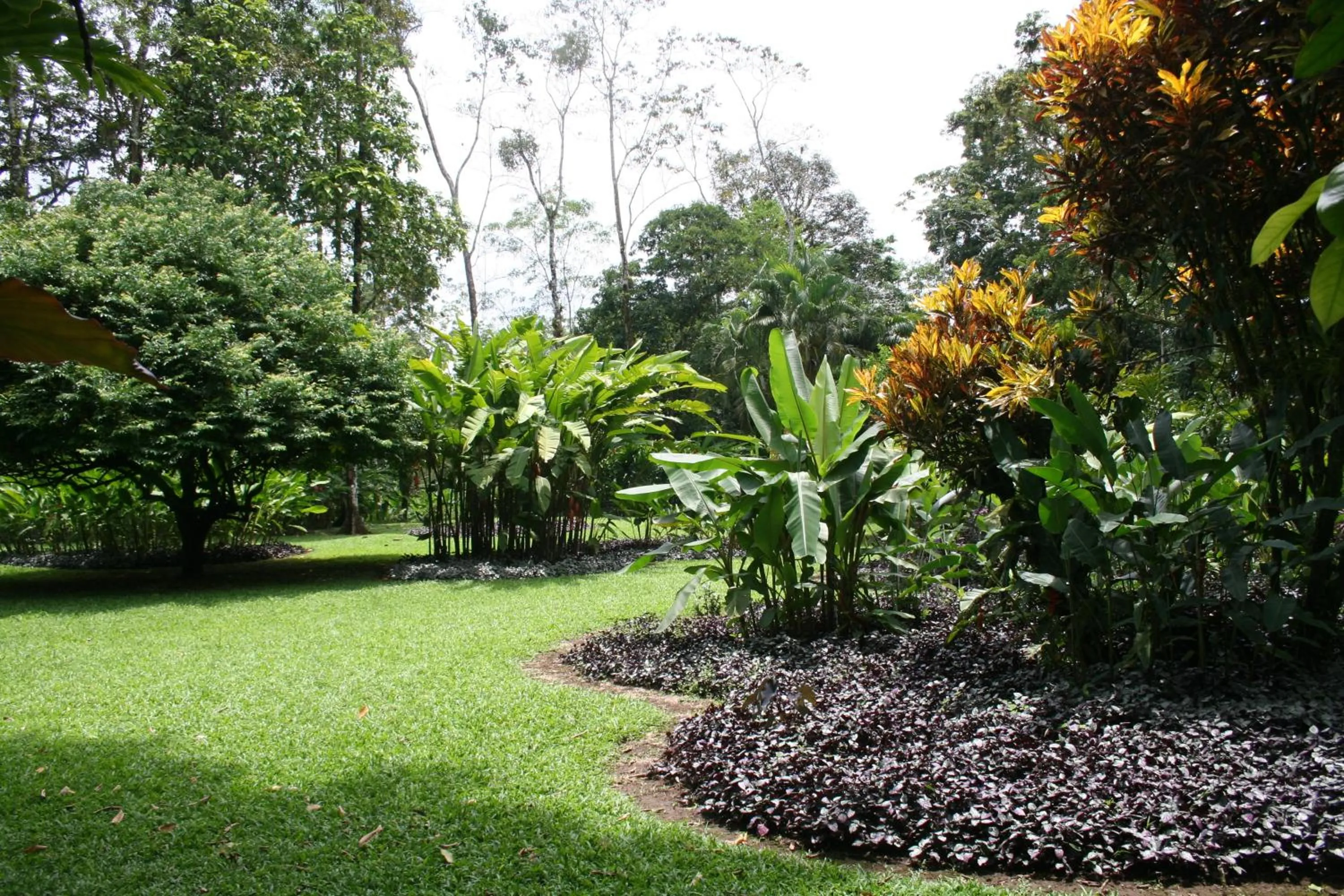 Garden in Heliconia Island